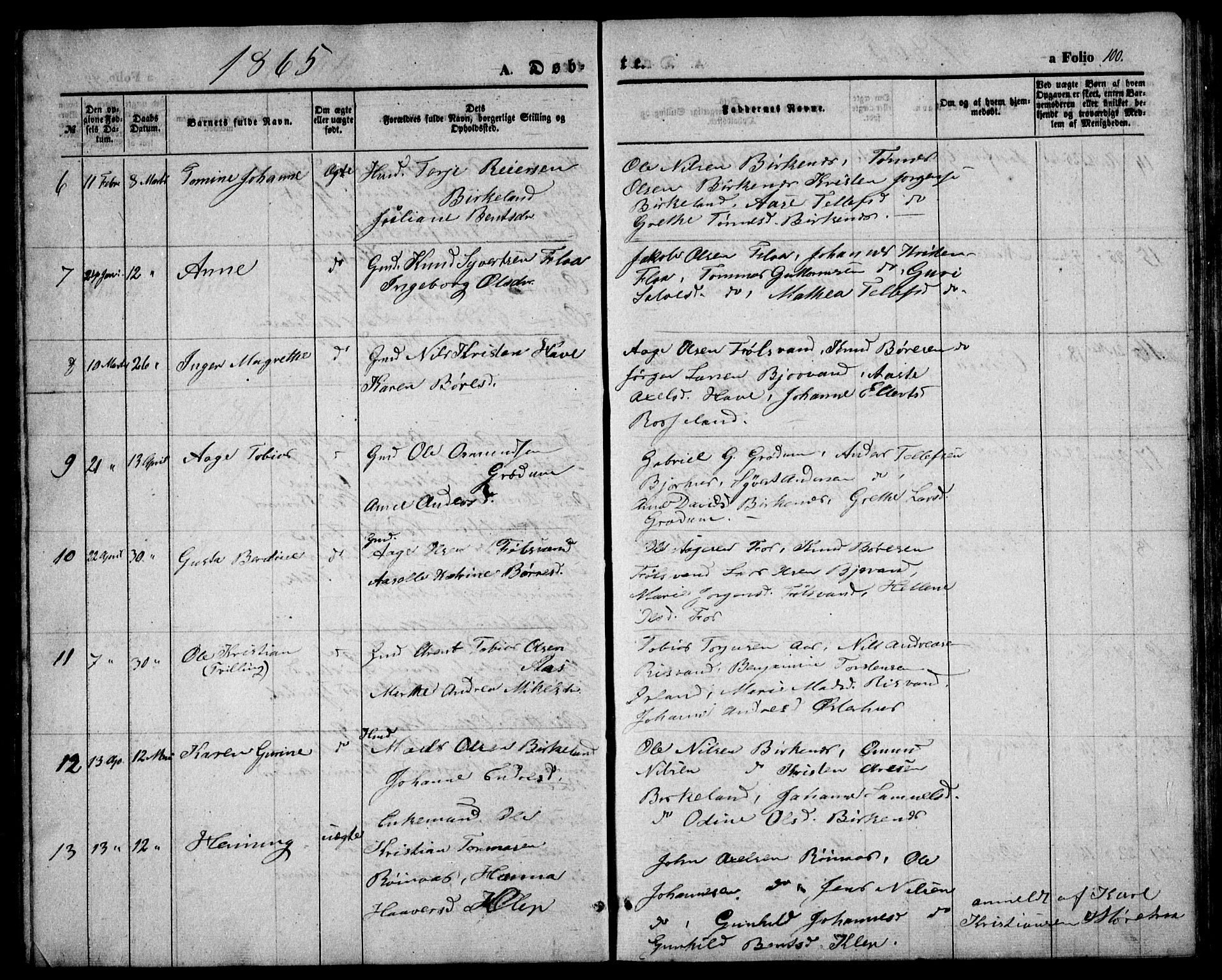 Birkenes sokneprestkontor, AV/SAK-1111-0004/F/Fb/L0002: Parish register (copy) no. B 2, 1849-1876, p. 100