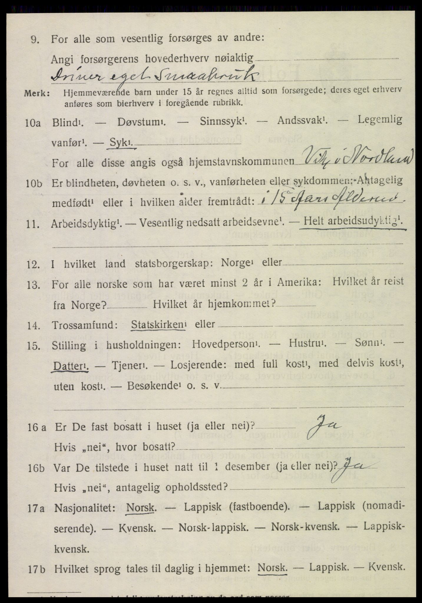 SAT, 1920 census for Vik, 1920, p. 3162