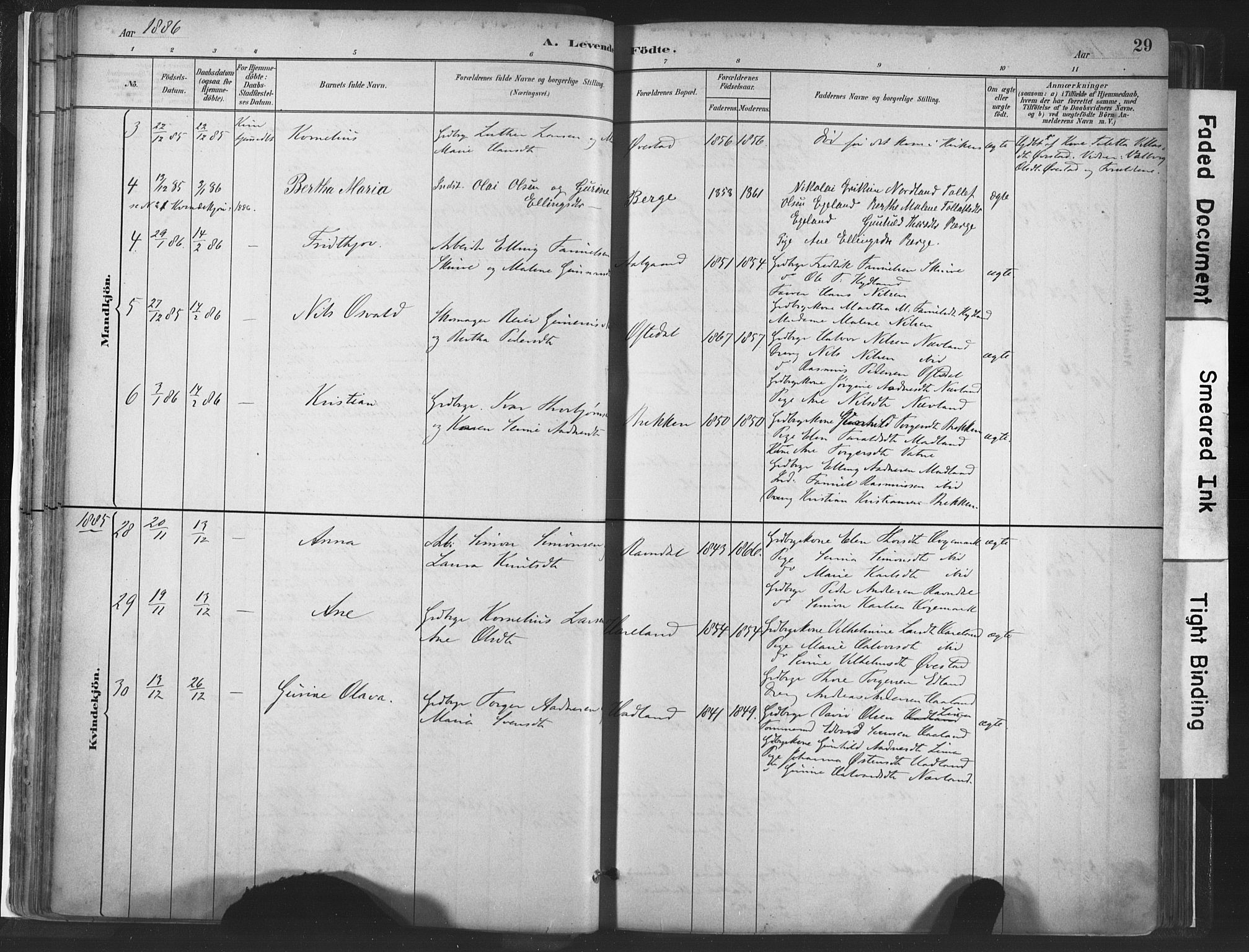 Lye sokneprestkontor, AV/SAST-A-101794/001/30BA/L0010: Parish register (official) no. A 10, 1881-1896, p. 29