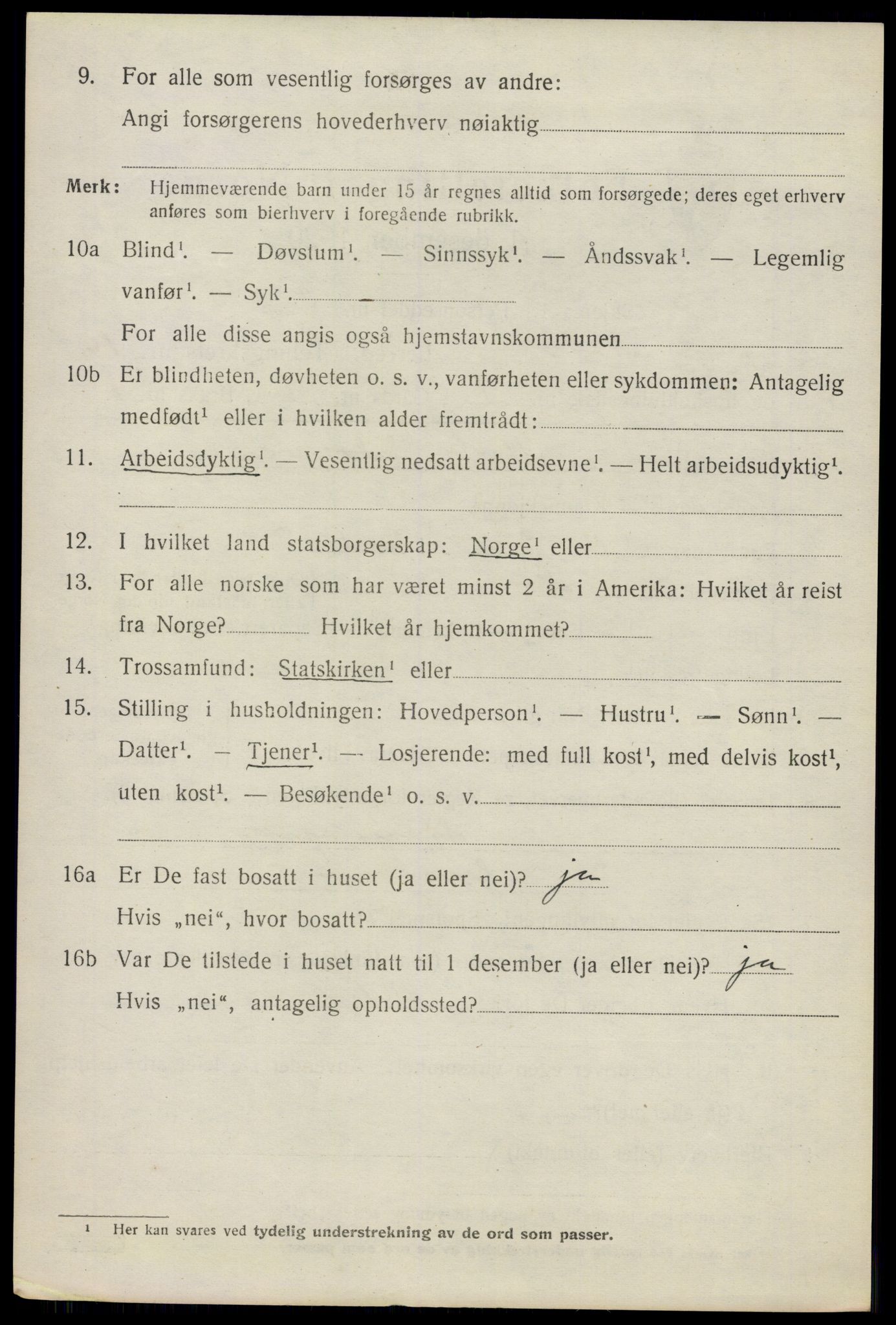 SAO, 1920 census for Nes, 1920, p. 15687