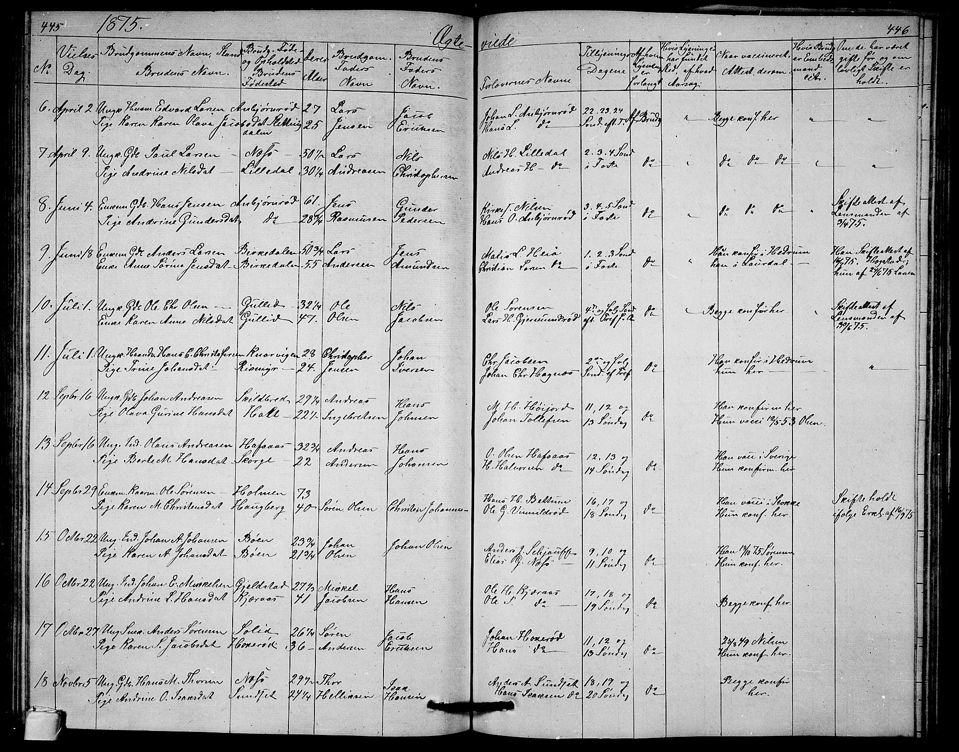 Andebu kirkebøker, SAKO/A-336/G/Ga/L0004: Parish register (copy) no. I 4, 1868-1882, p. 445-446