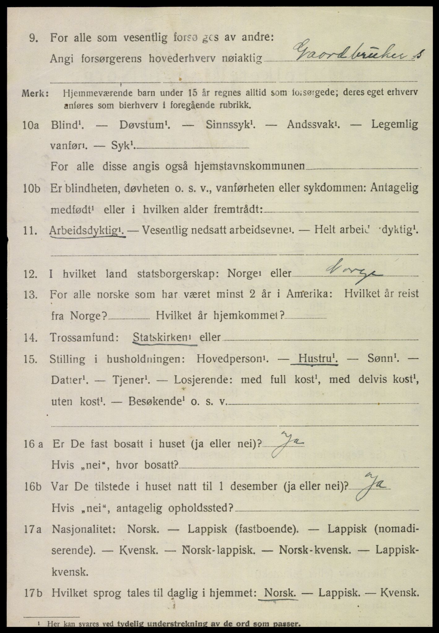 SAT, 1920 census for Lånke, 1920, p. 1041