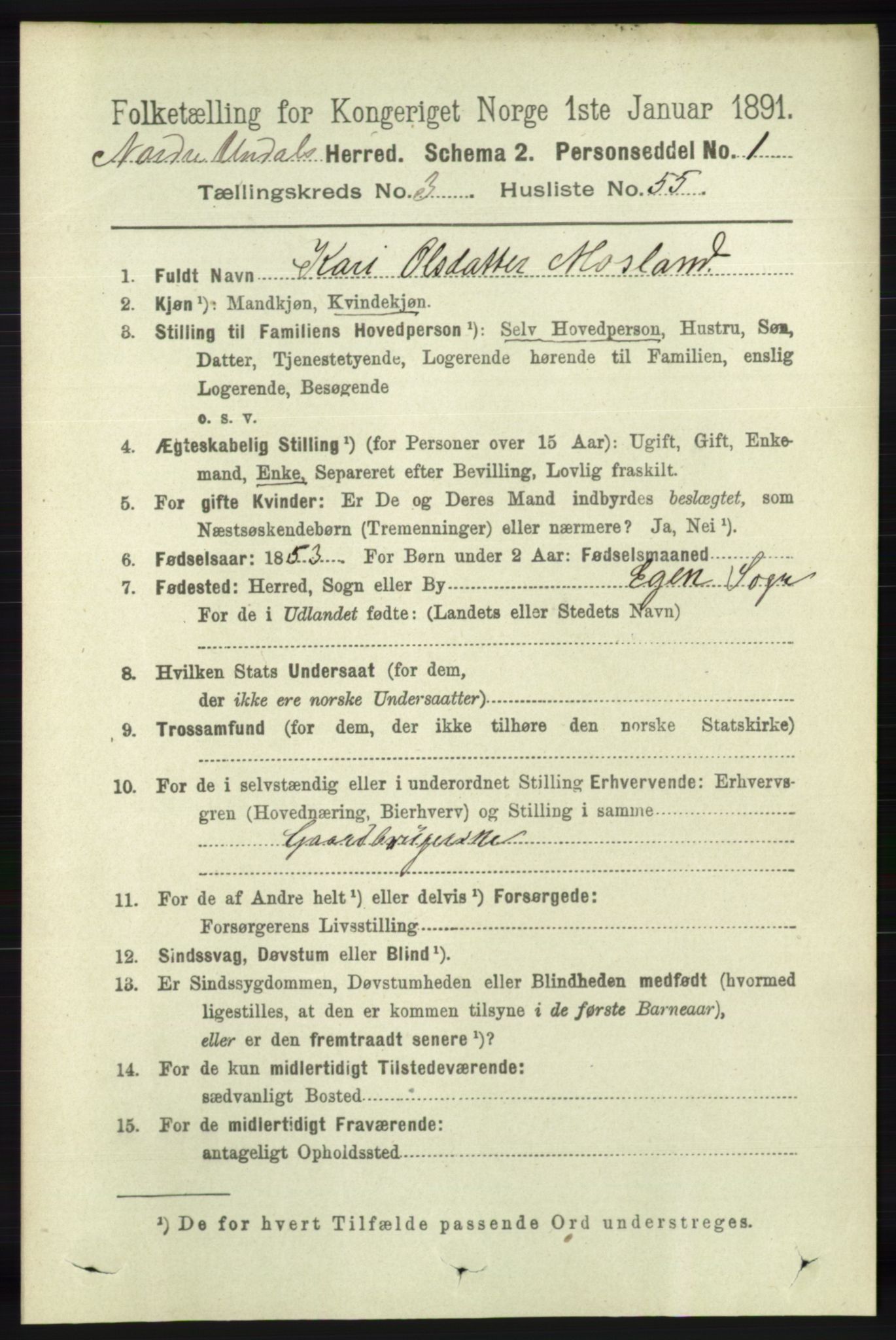 RA, 1891 census for 1028 Nord-Audnedal, 1891, p. 1011