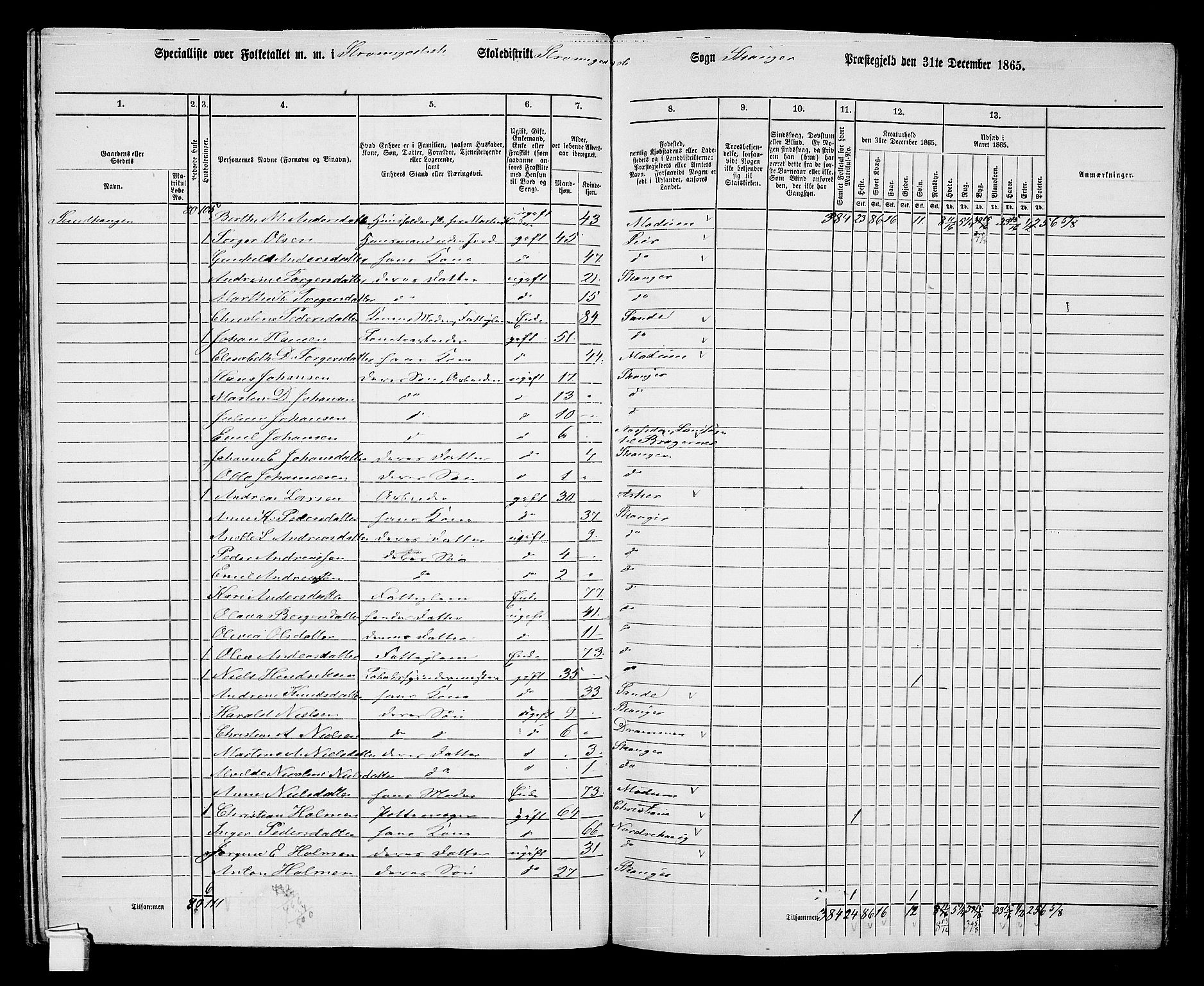 RA, 1865 census for Skoger, 1865, p. 132