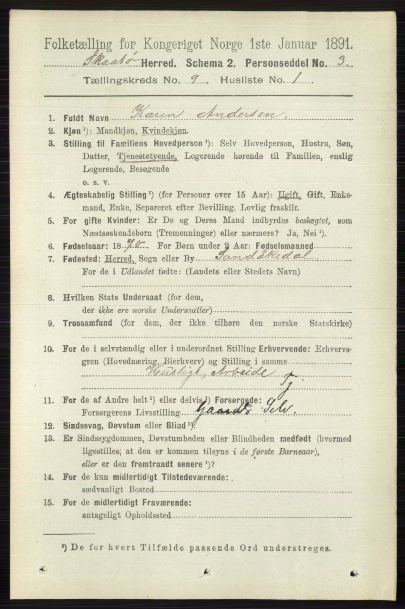 RA, 1891 census for 0815 Skåtøy, 1891, p. 3871