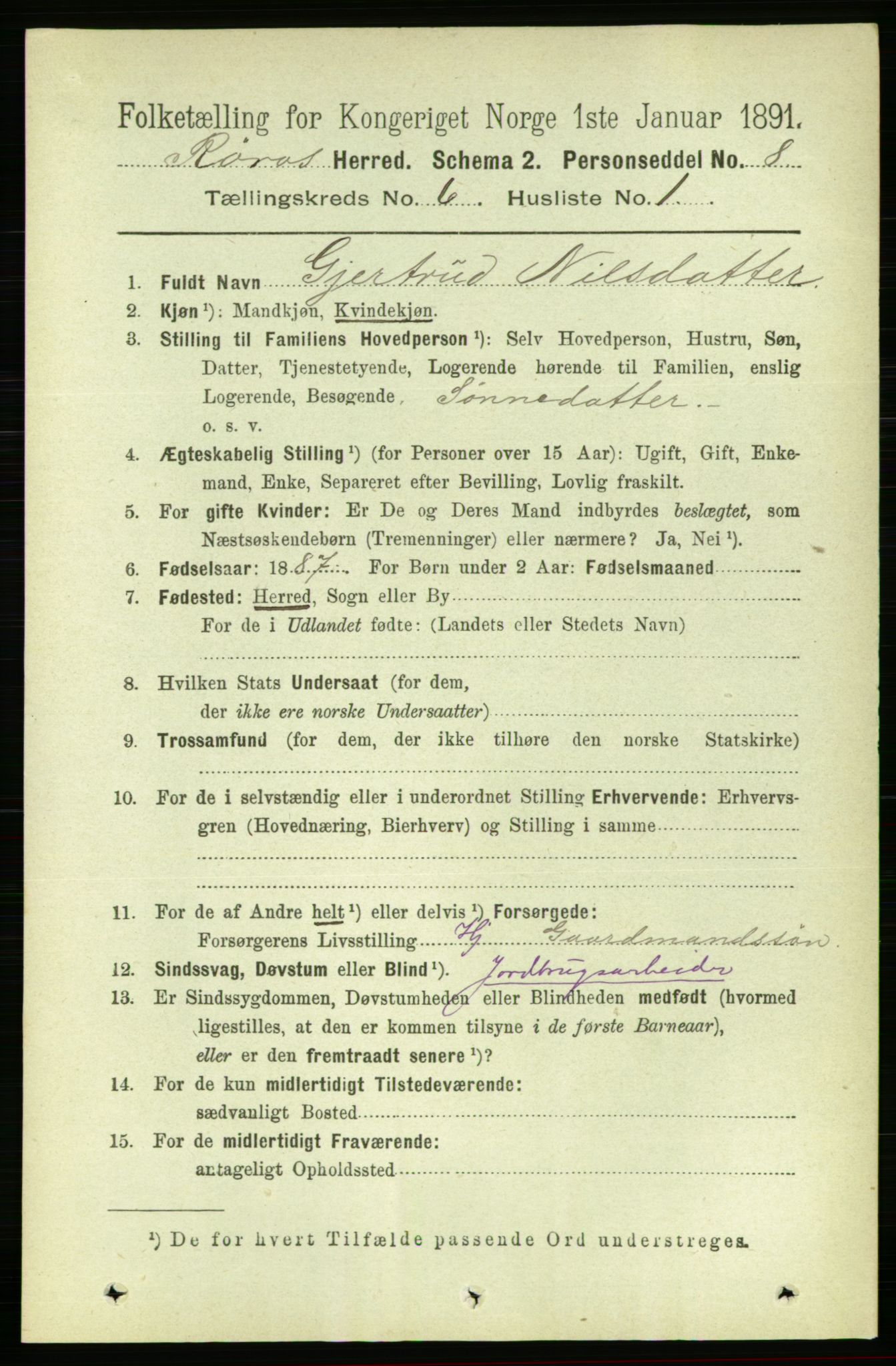 RA, 1891 census for 1640 Røros, 1891, p. 1151