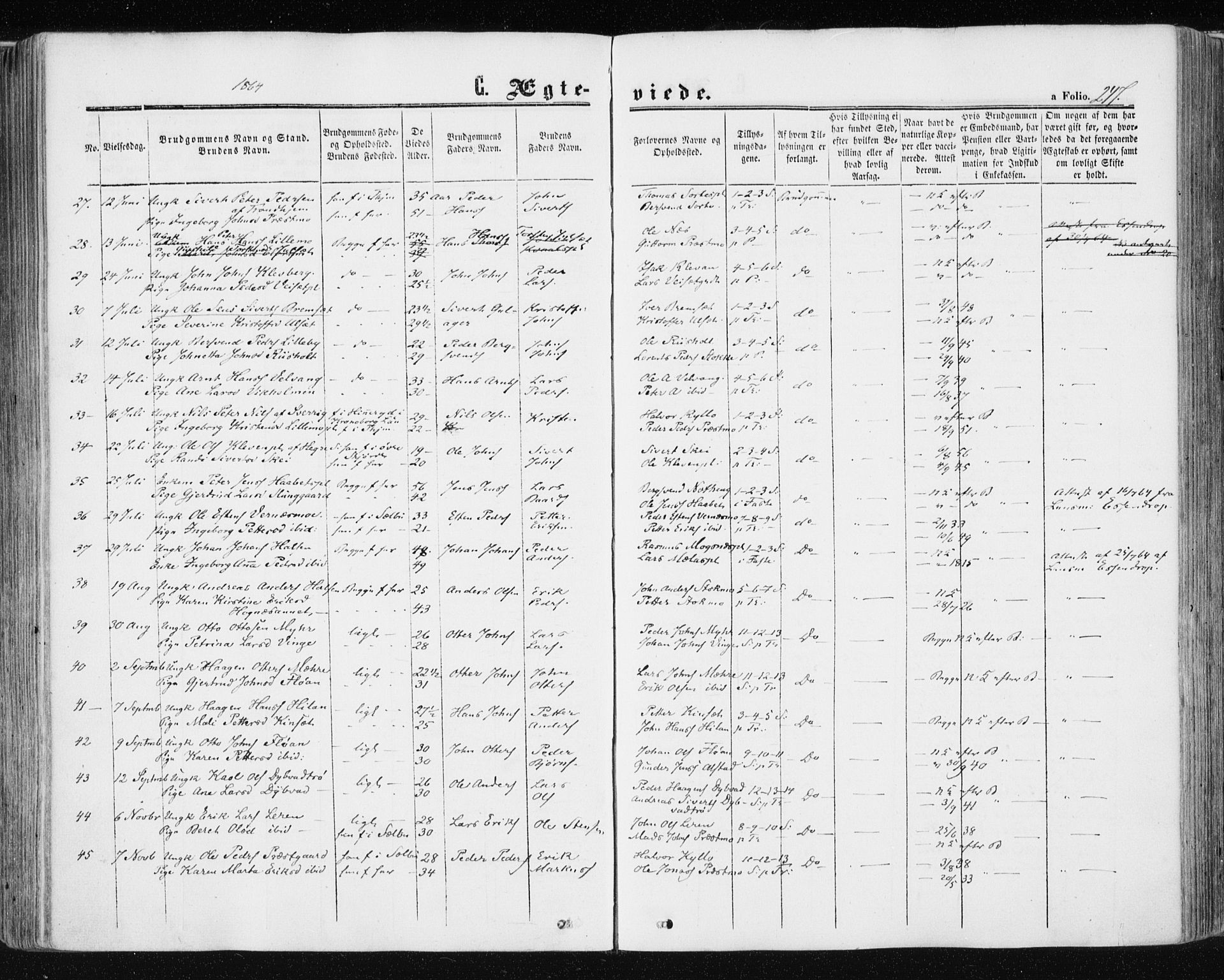 Ministerialprotokoller, klokkerbøker og fødselsregistre - Nord-Trøndelag, SAT/A-1458/709/L0075: Parish register (official) no. 709A15, 1859-1870, p. 247