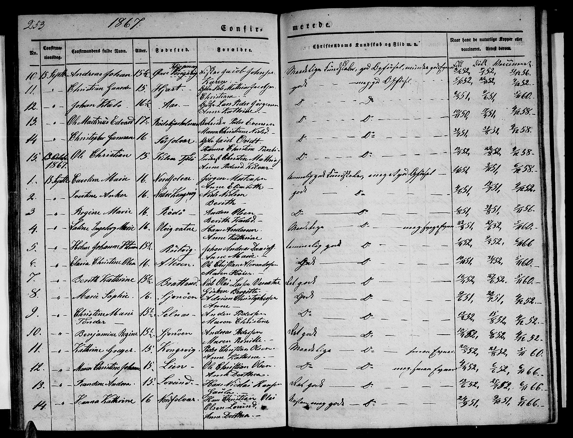 Ministerialprotokoller, klokkerbøker og fødselsregistre - Nordland, AV/SAT-A-1459/839/L0572: Parish register (copy) no. 839C02, 1841-1873, p. 253