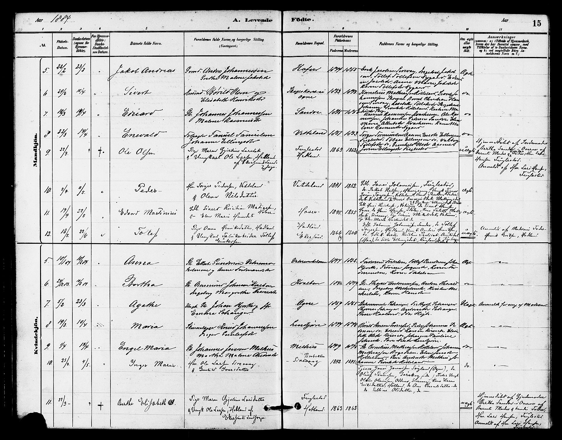 Eigersund sokneprestkontor, AV/SAST-A-101807/S08/L0016: Parish register (official) no. A 16, 1879-1893, p. 15