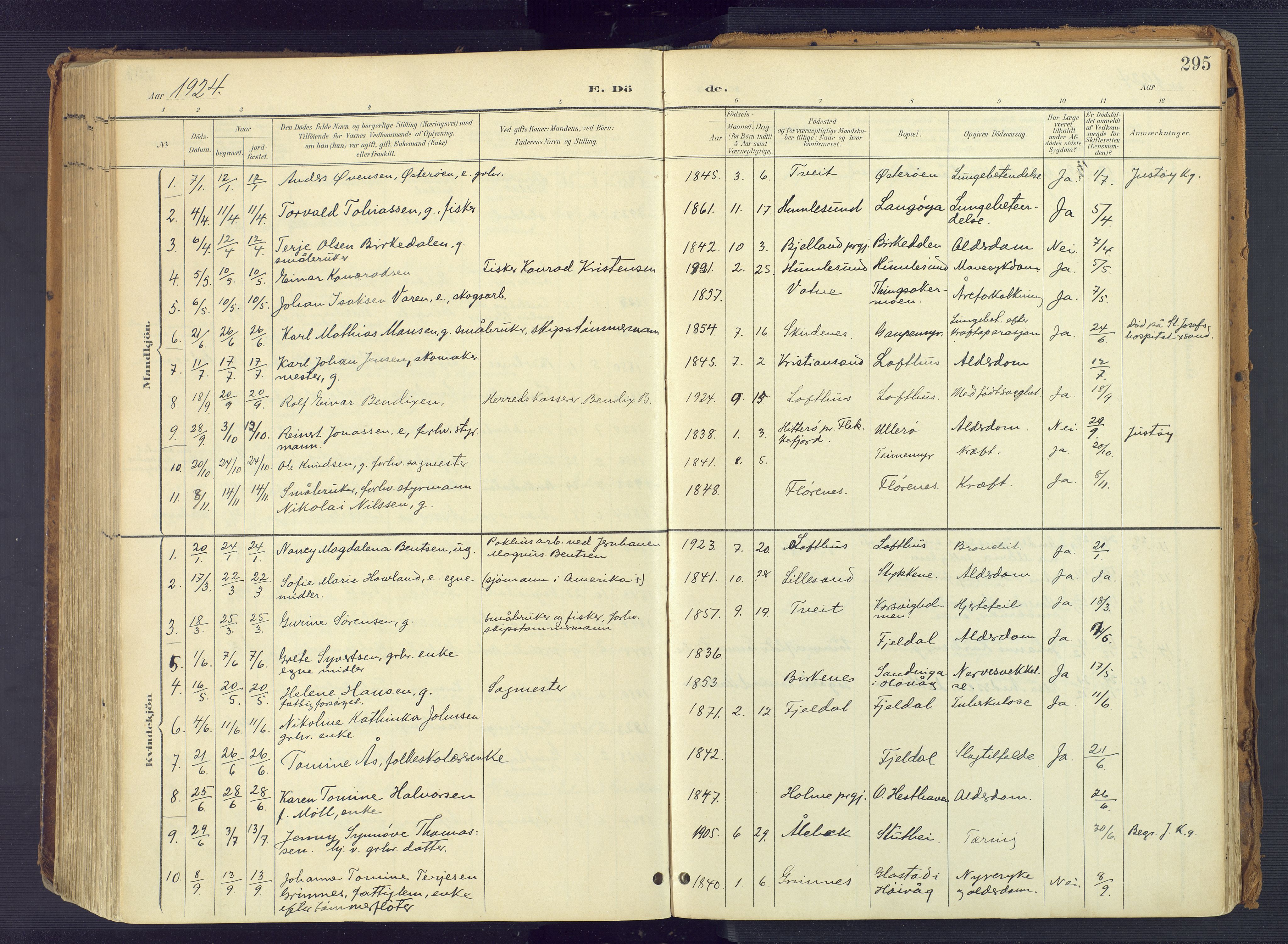 Vestre Moland sokneprestkontor, SAK/1111-0046/F/Fa/Fab/L0010: Parish register (official) no. A 10, 1900-1926, p. 295