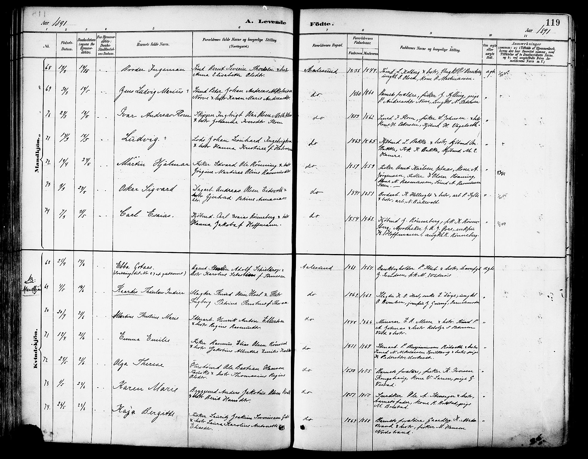 Ministerialprotokoller, klokkerbøker og fødselsregistre - Møre og Romsdal, AV/SAT-A-1454/529/L0455: Parish register (official) no. 529A05, 1885-1893, p. 119