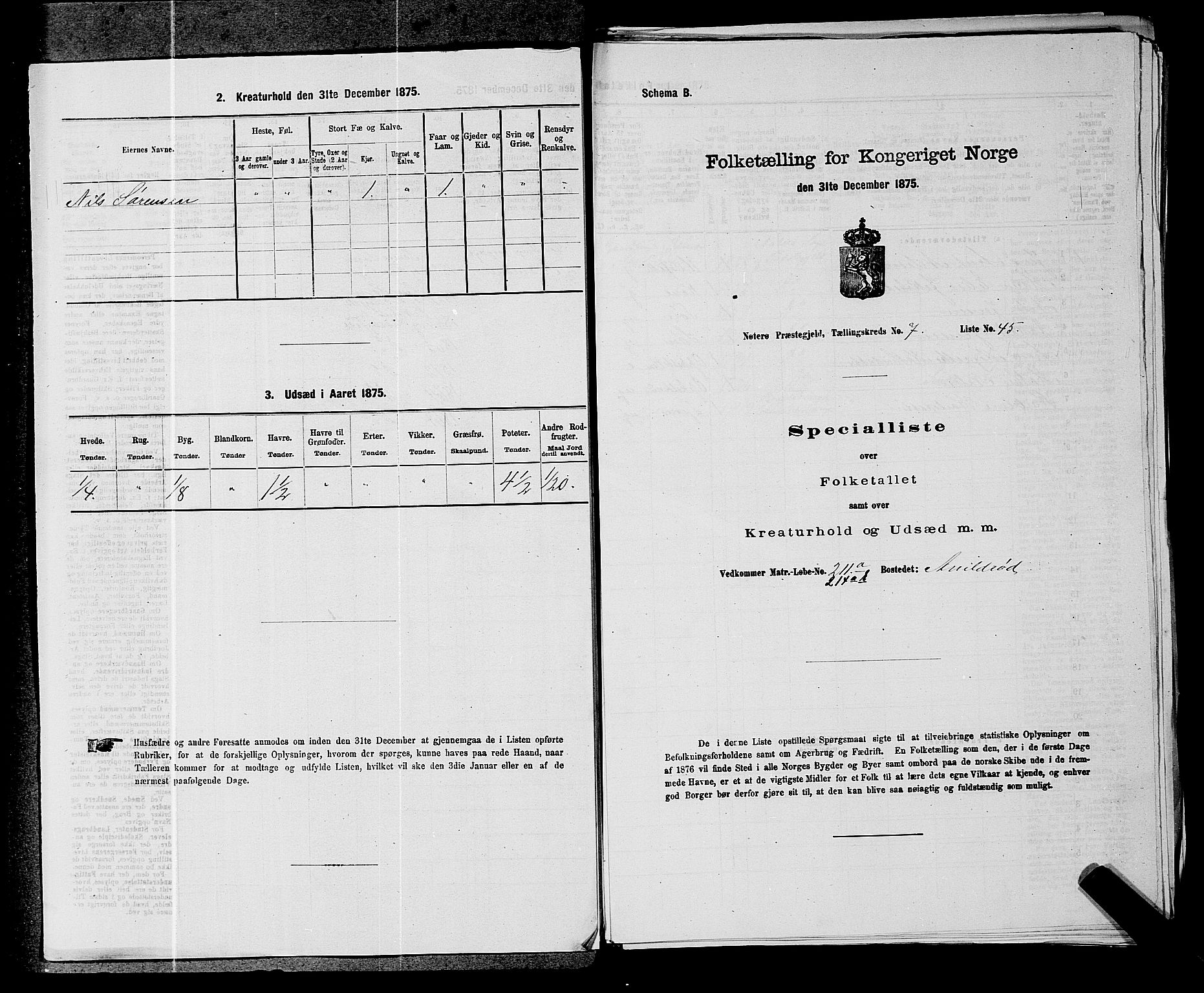 SAKO, 1875 census for 0722P Nøtterøy, 1875, p. 1425