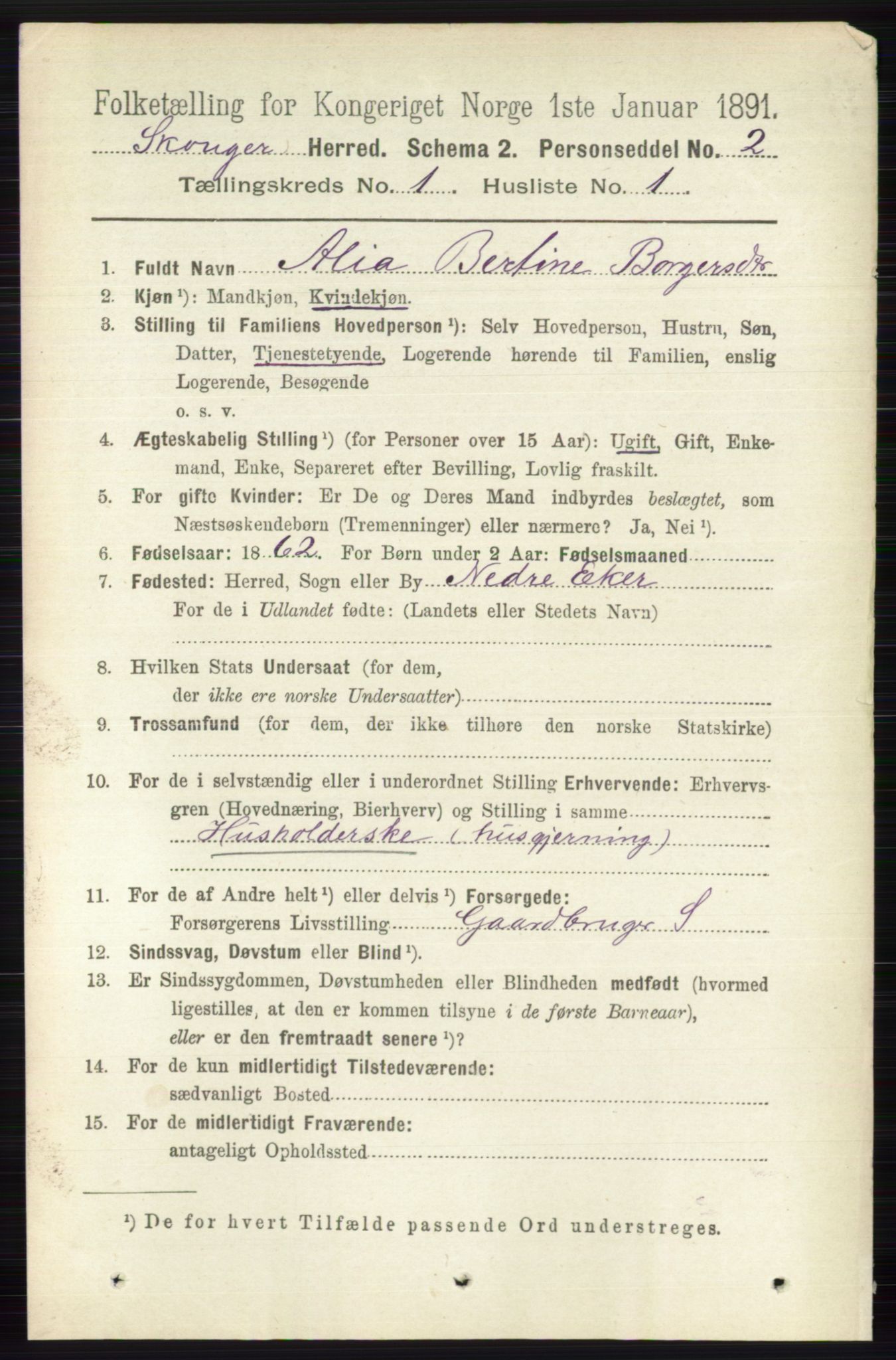 RA, 1891 census for 0712 Skoger, 1891, p. 97