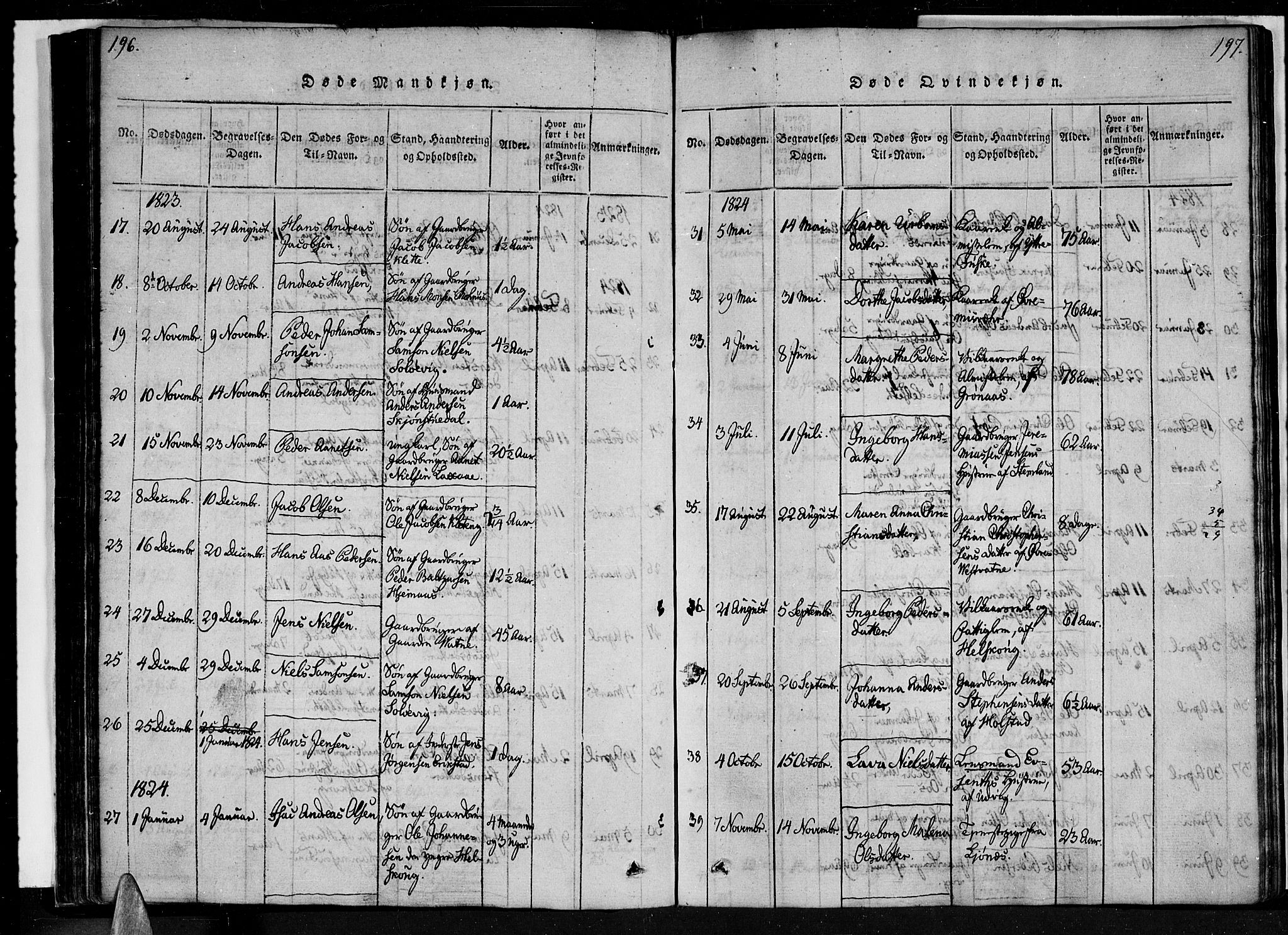 Ministerialprotokoller, klokkerbøker og fødselsregistre - Nordland, SAT/A-1459/852/L0736: Parish register (official) no. 852A06, 1820-1833, p. 196-197