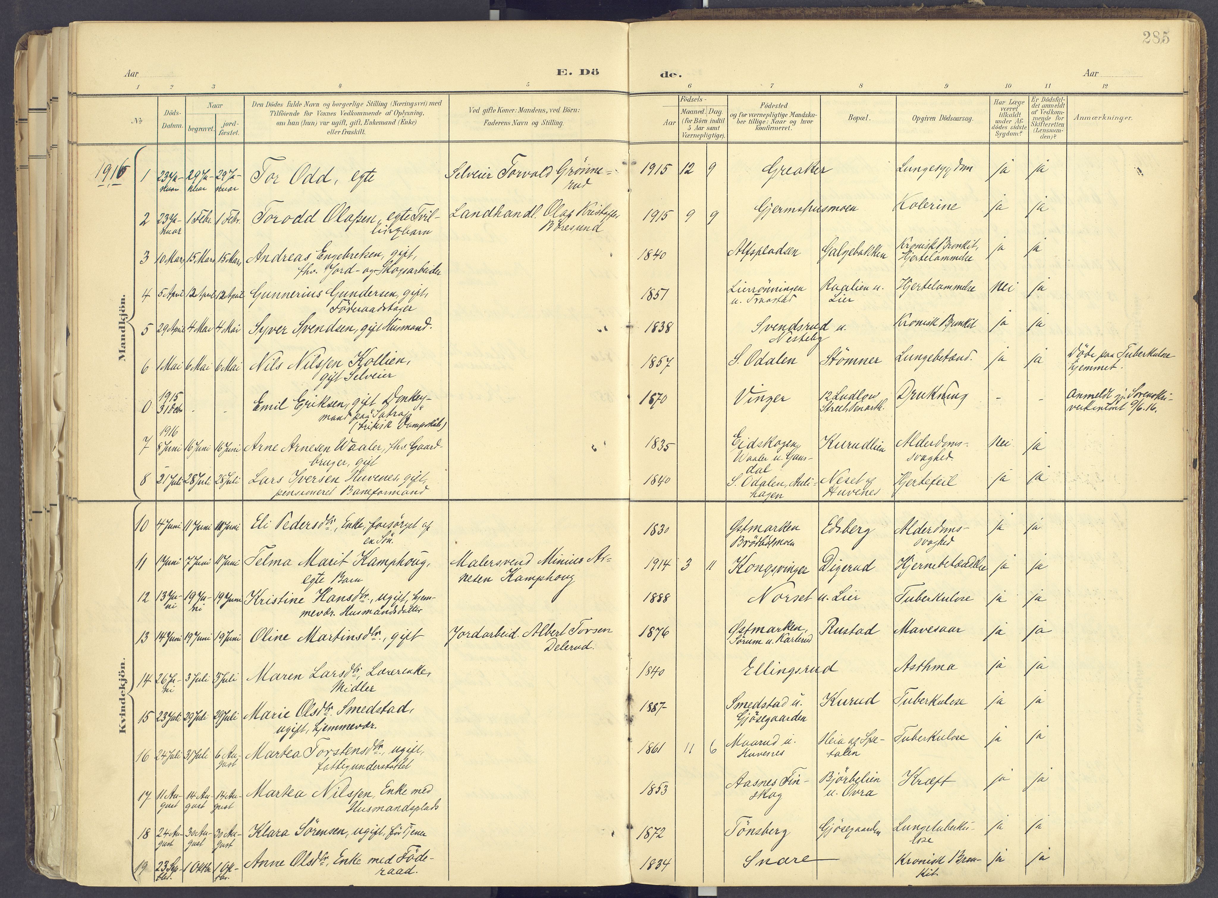 Vinger prestekontor, AV/SAH-PREST-024/H/Ha/Haa/L0017: Parish register (official) no. 17, 1901-1927, p. 285