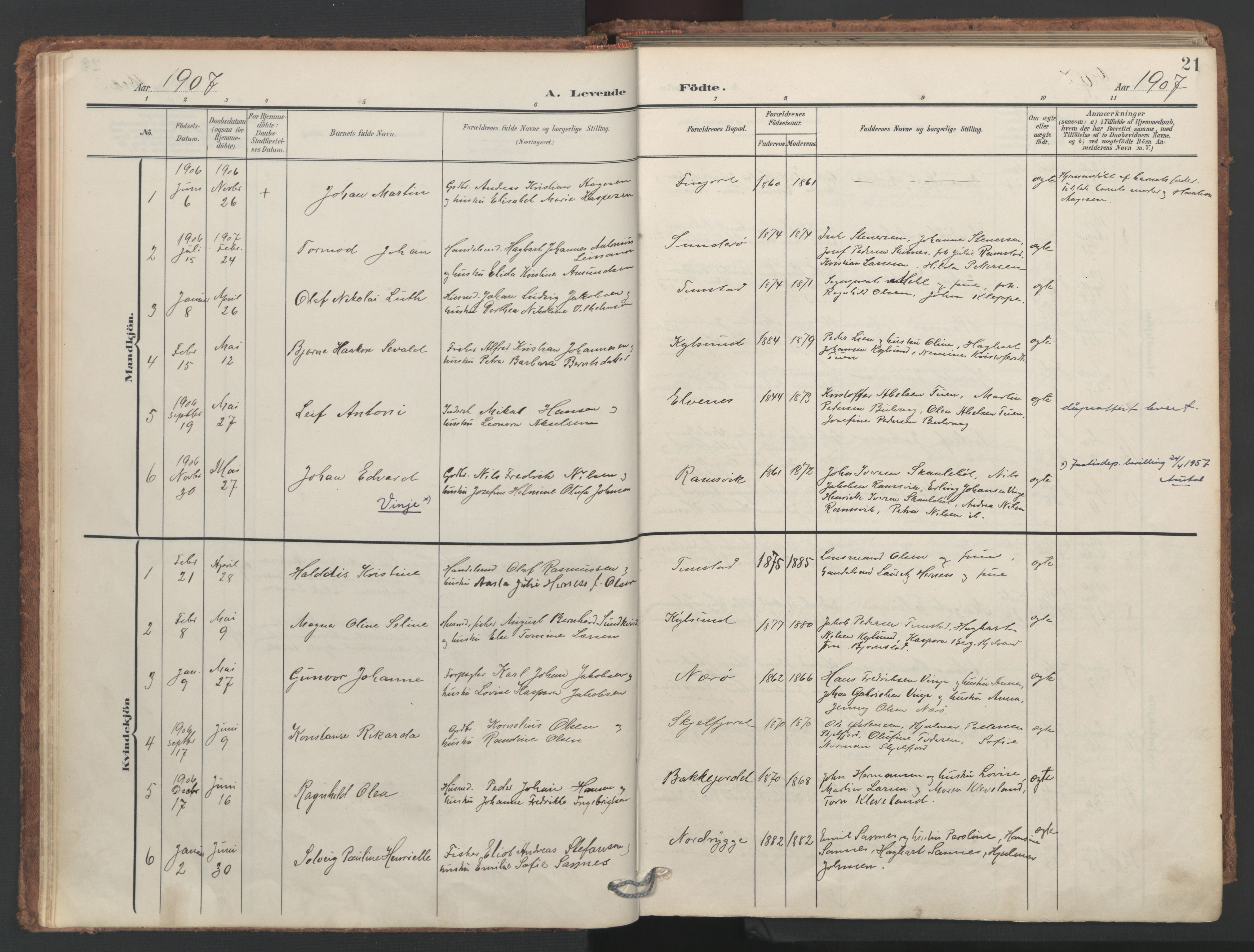 Ministerialprotokoller, klokkerbøker og fødselsregistre - Nordland, SAT/A-1459/893/L1339: Parish register (official) no. 893A11, 1904-1914, p. 21