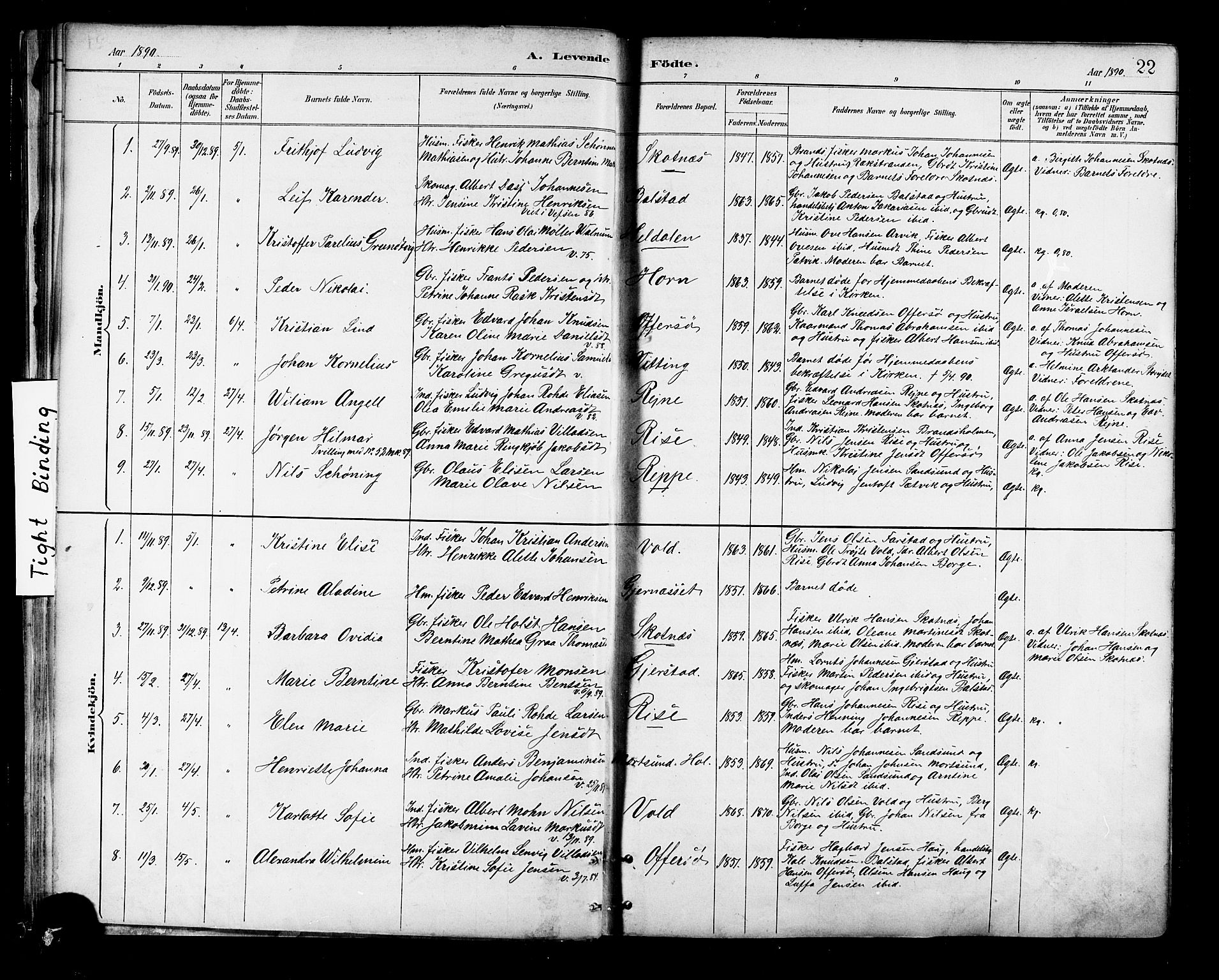 Ministerialprotokoller, klokkerbøker og fødselsregistre - Nordland, AV/SAT-A-1459/881/L1167: Parish register (copy) no. 881C04, 1886-1899, p. 22