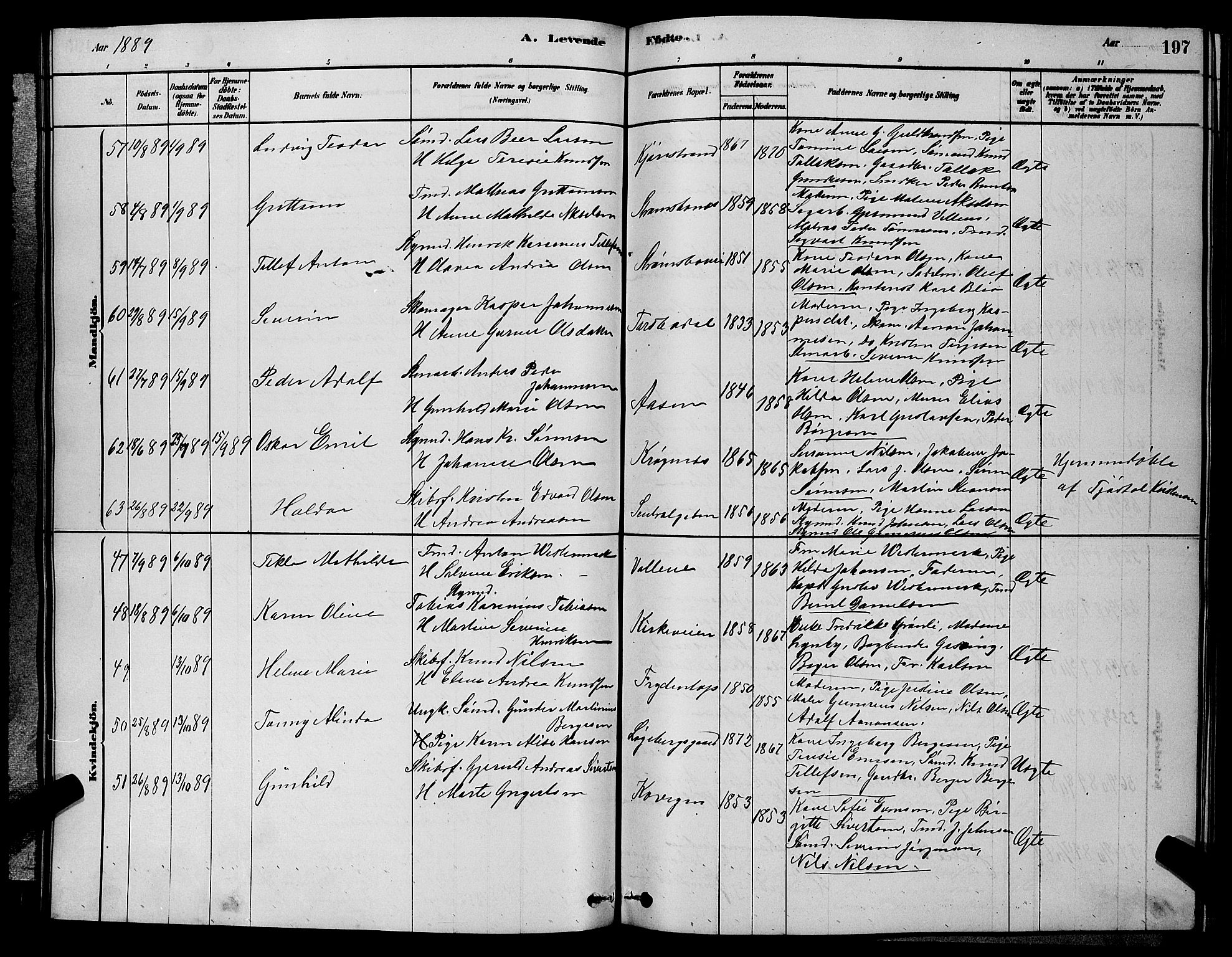 Barbu sokneprestkontor, AV/SAK-1111-0003/F/Fb/L0001: Parish register (copy) no. B 1, 1878-1890, p. 197