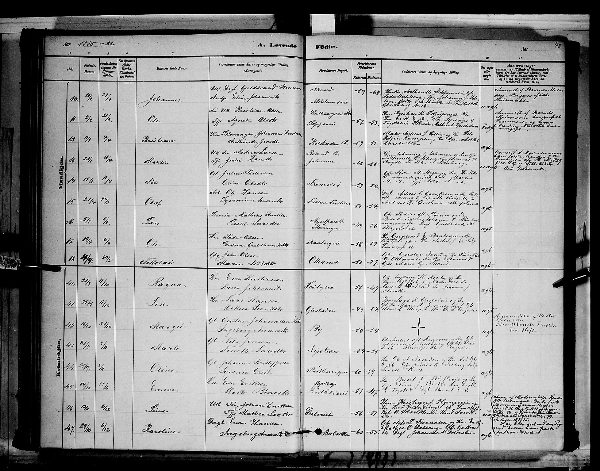 Ringsaker prestekontor, AV/SAH-PREST-014/L/La/L0011: Parish register (copy) no. 11, 1879-1890, p. 43