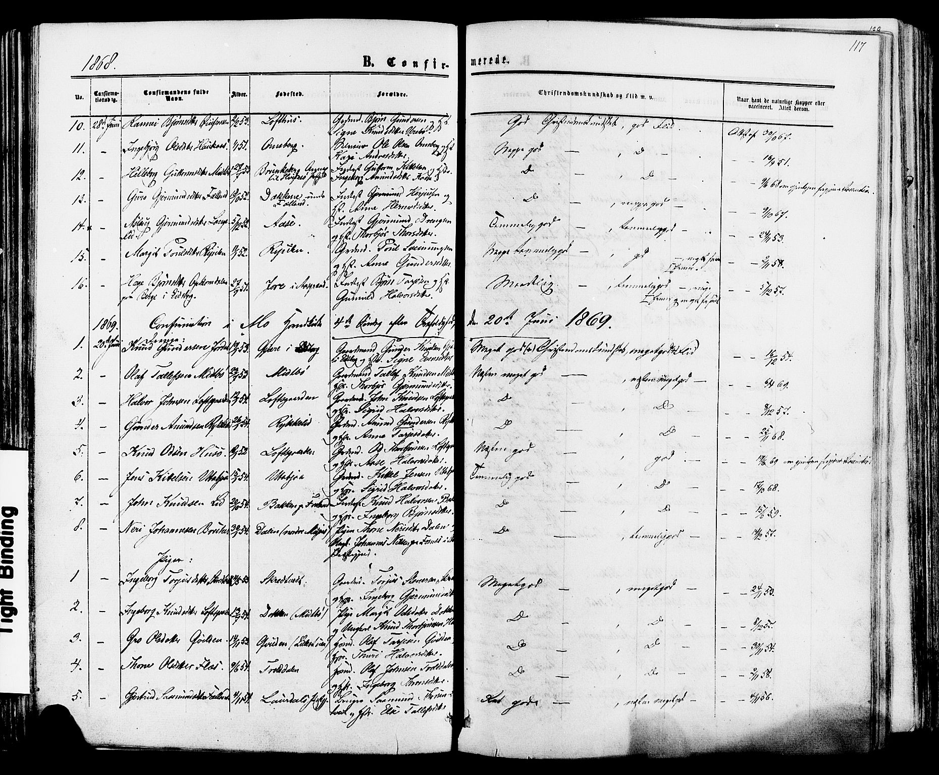 Mo kirkebøker, SAKO/A-286/F/Fa/L0006: Parish register (official) no. I 6, 1865-1885, p. 117