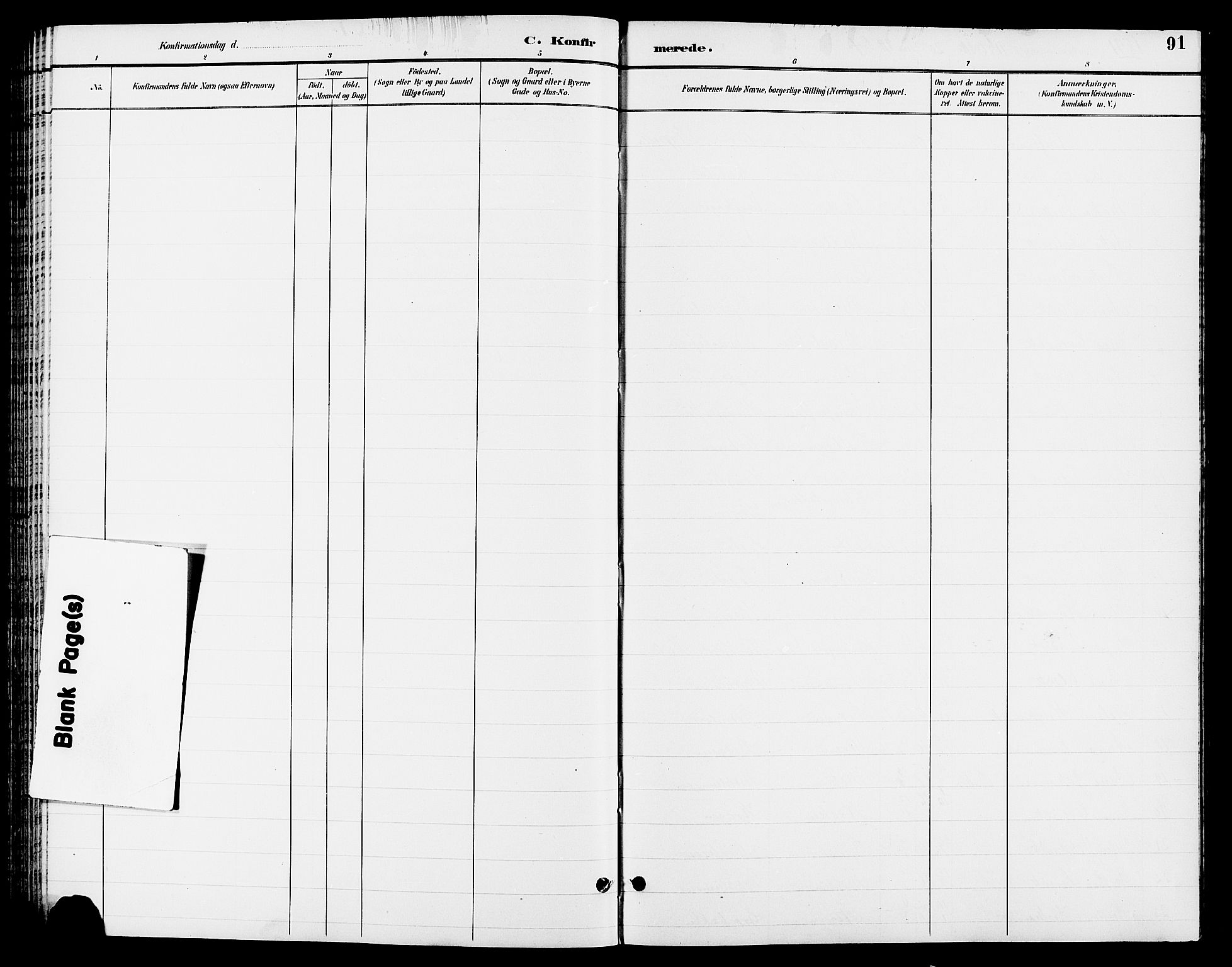 Ringsaker prestekontor, AV/SAH-PREST-014/L/La/L0013: Parish register (copy) no. 13, 1891-1904, p. 91