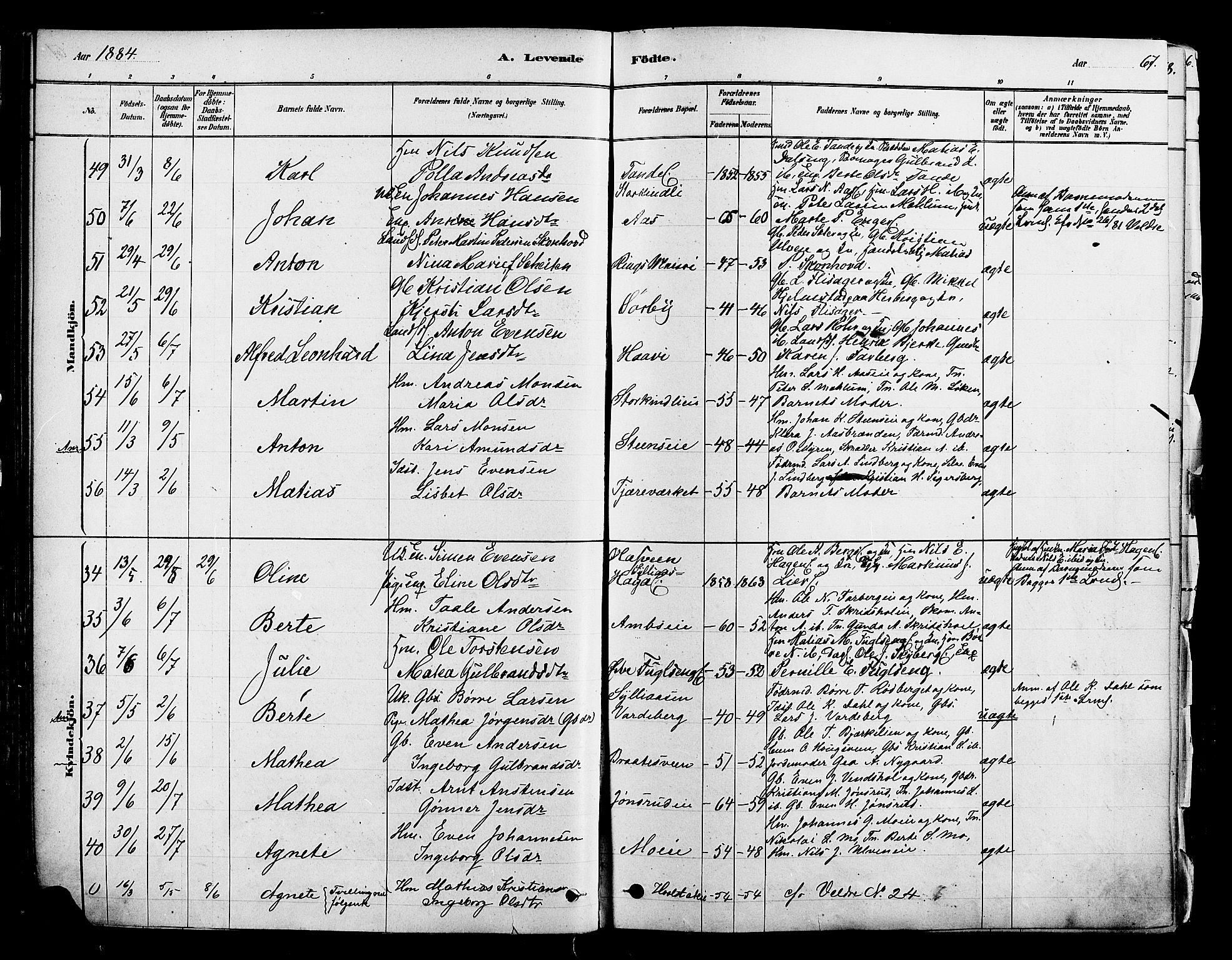 Ringsaker prestekontor, AV/SAH-PREST-014/K/Ka/L0012: Parish register (official) no. 12, 1879-1890, p. 67