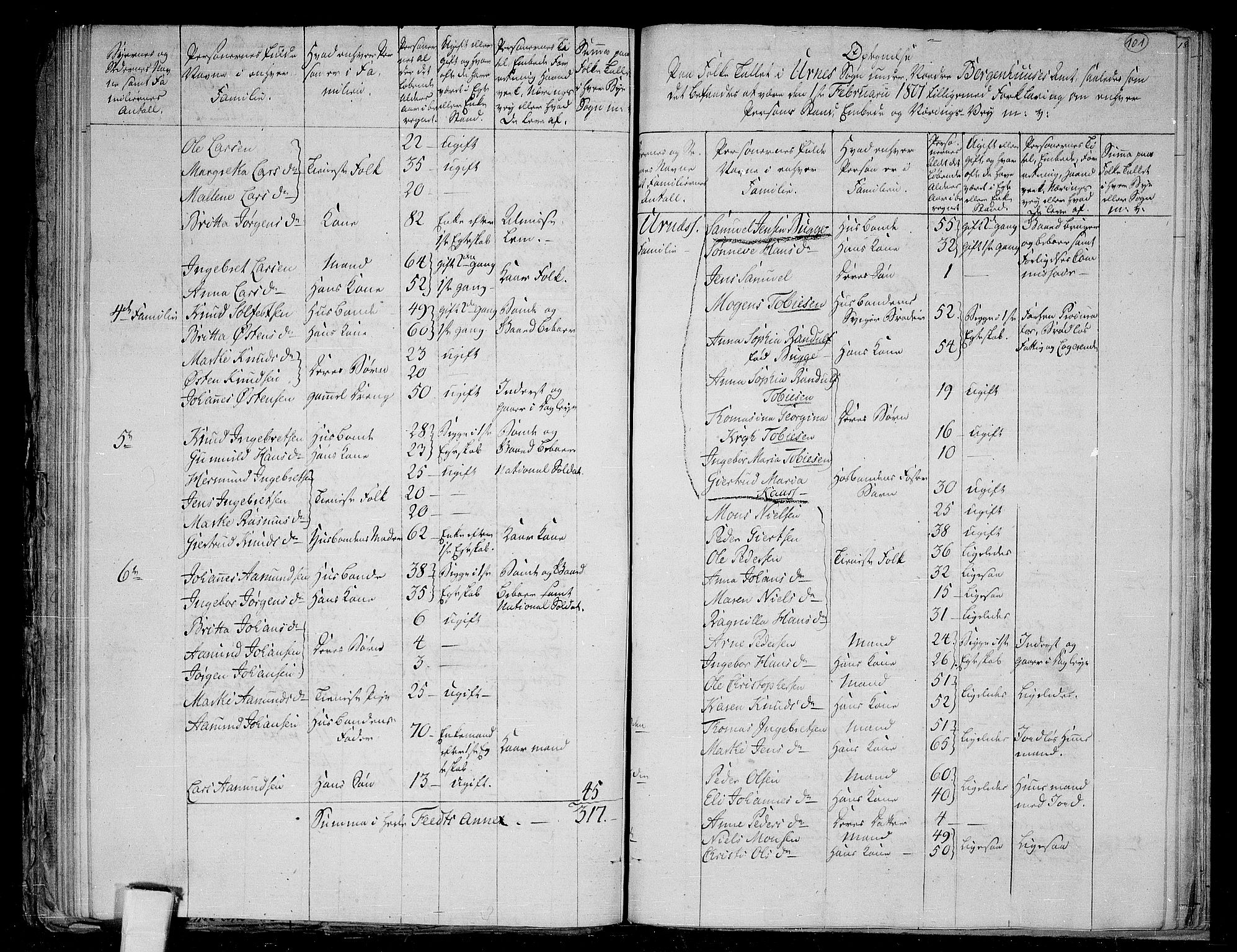 RA, 1801 census for 1425P Hafslo, 1801, p. 100b-101a