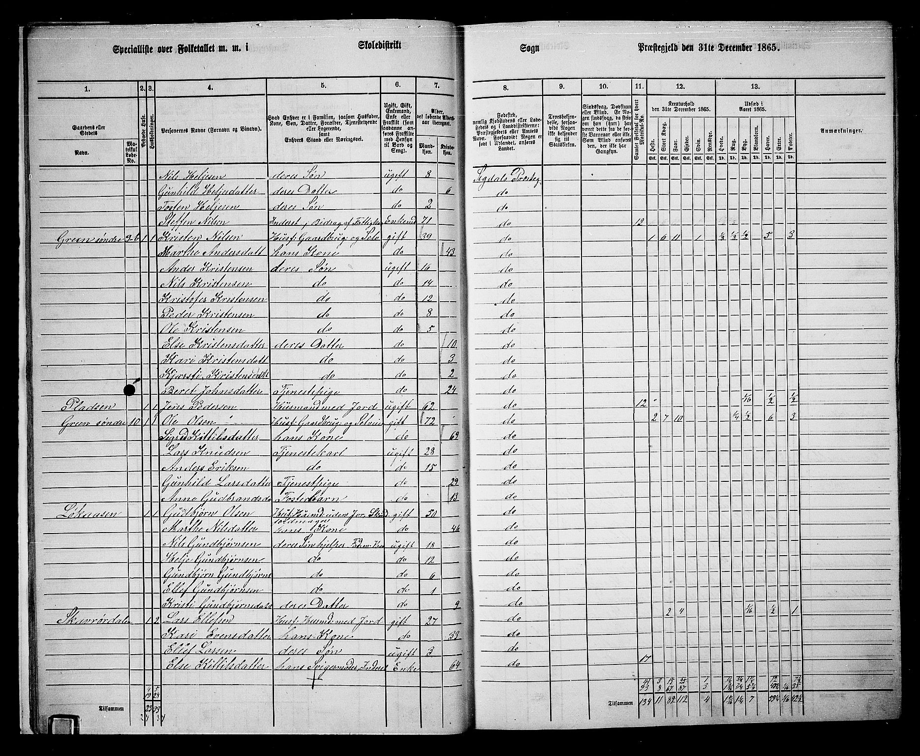 RA, 1865 census for Sigdal, 1865, p. 22