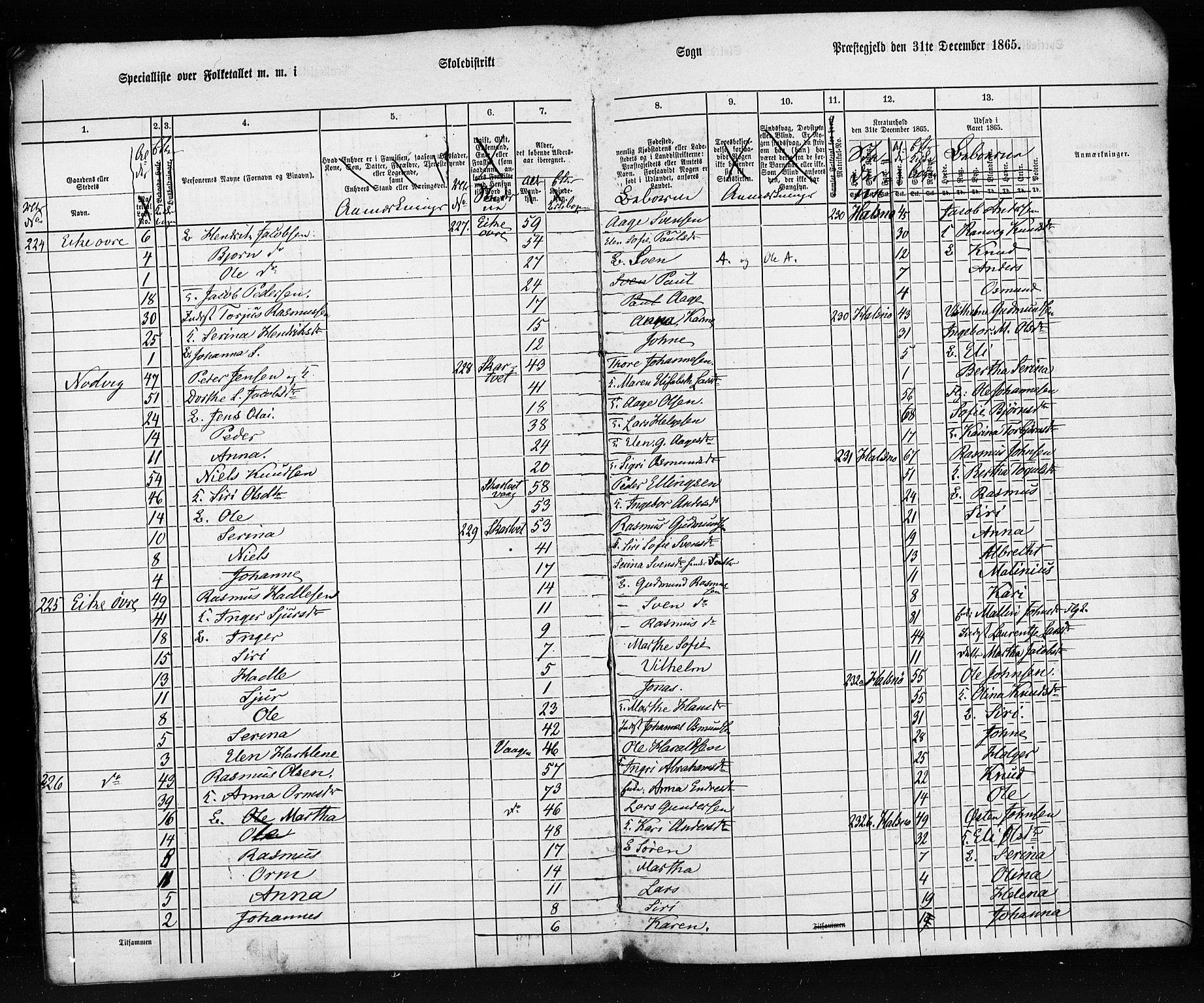 SAST, Census 1865 (copy) for Hjelmeland, 1865, p. 8