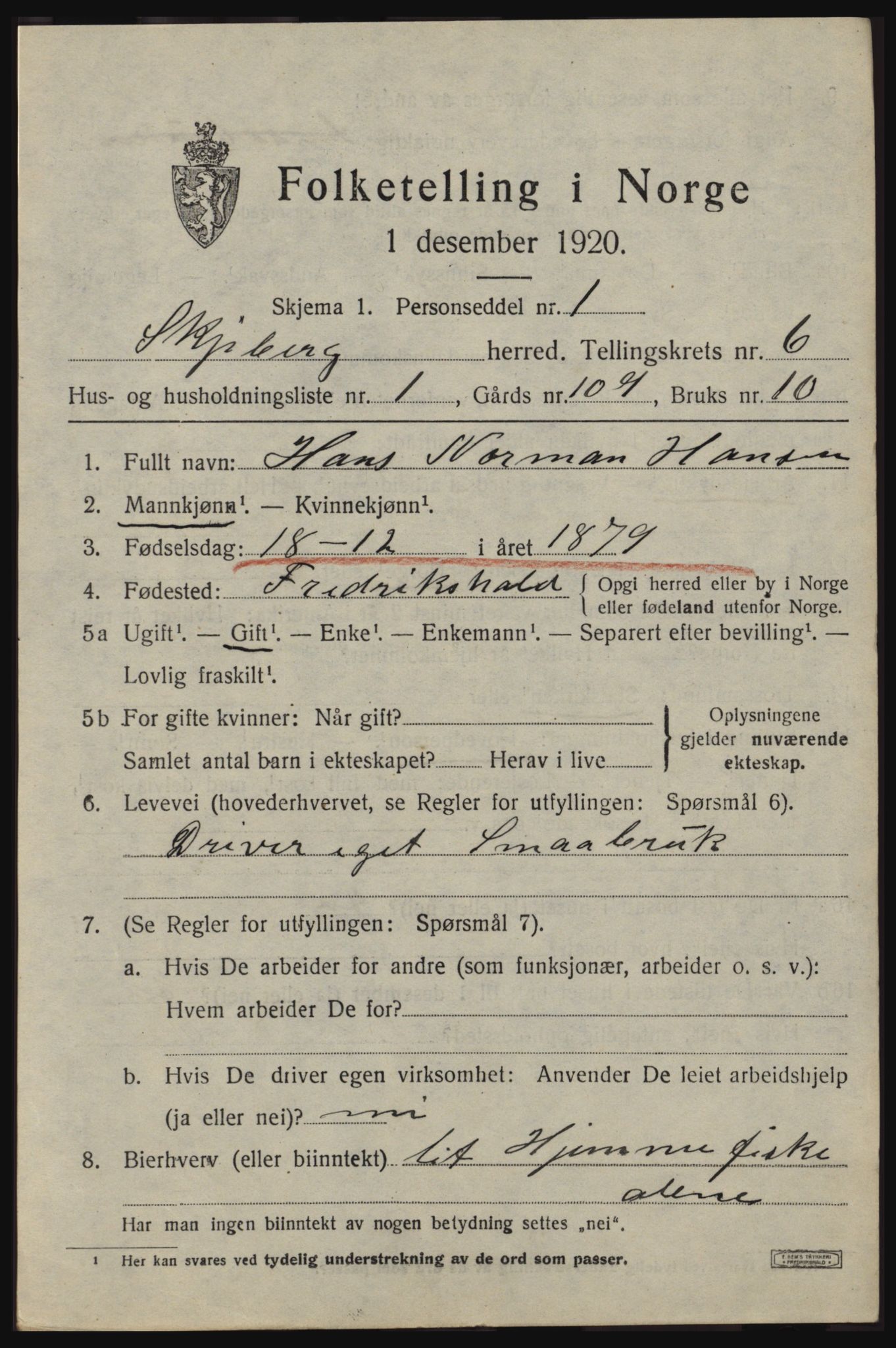 SAO, 1920 census for Skjeberg, 1920, p. 6599