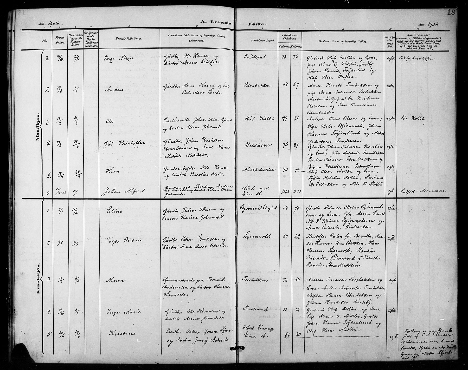 Vestre Toten prestekontor, AV/SAH-PREST-108/H/Ha/Hab/L0016: Parish register (copy) no. 16, 1901-1915, p. 18