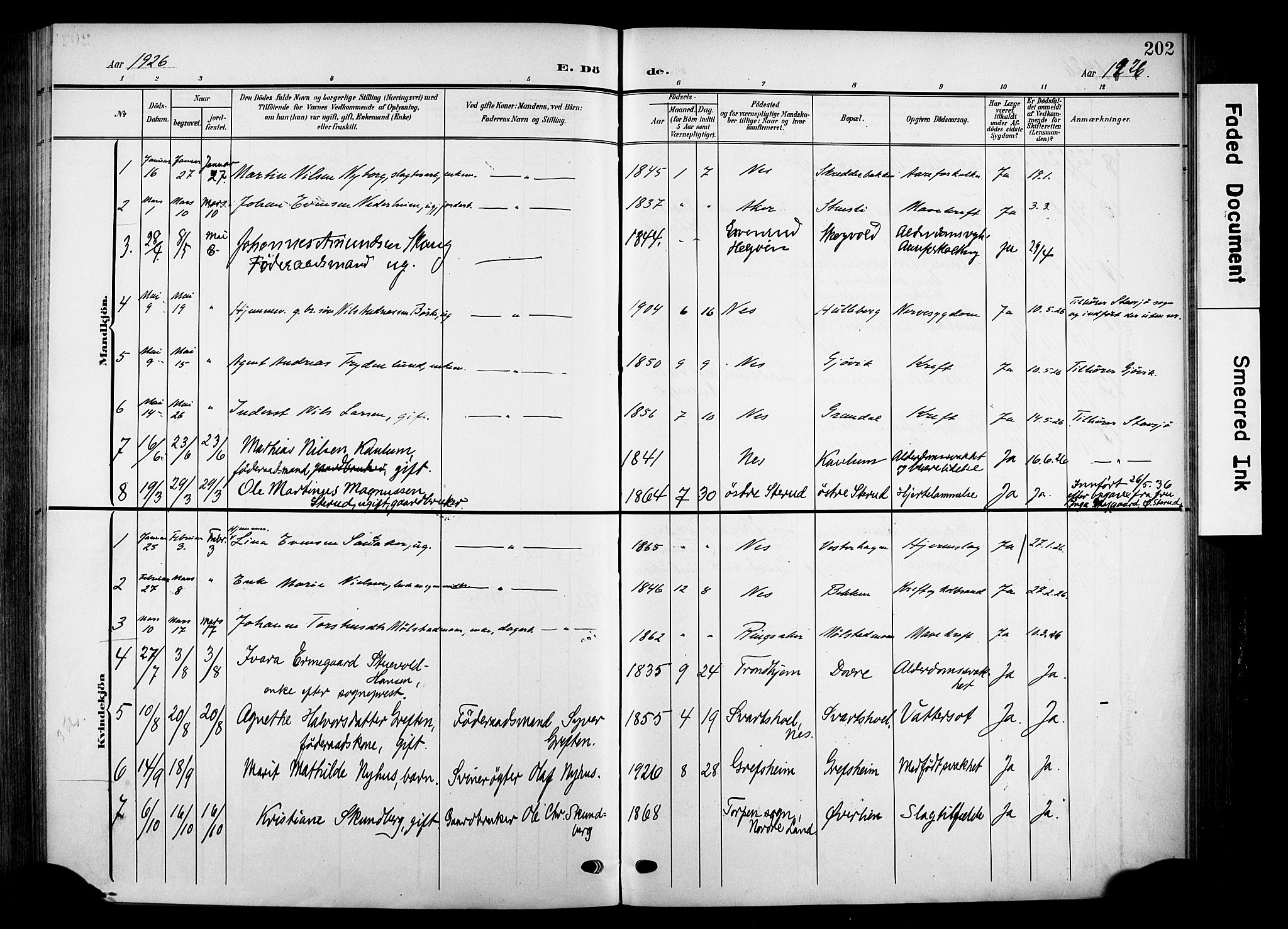 Nes prestekontor, Hedmark, SAH/PREST-020/K/Ka/L0014: Parish register (official) no. 14, 1906-1929, p. 202