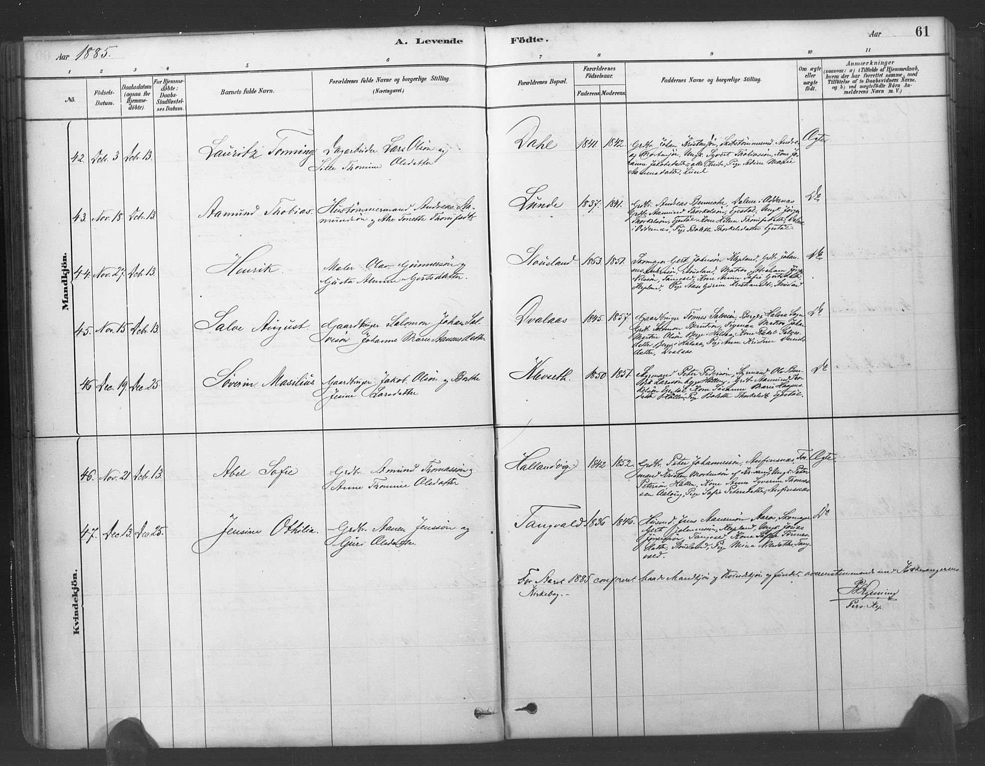 Søgne sokneprestkontor, SAK/1111-0037/F/Fa/Fab/L0012: Parish register (official) no. A 12, 1880-1891, p. 61