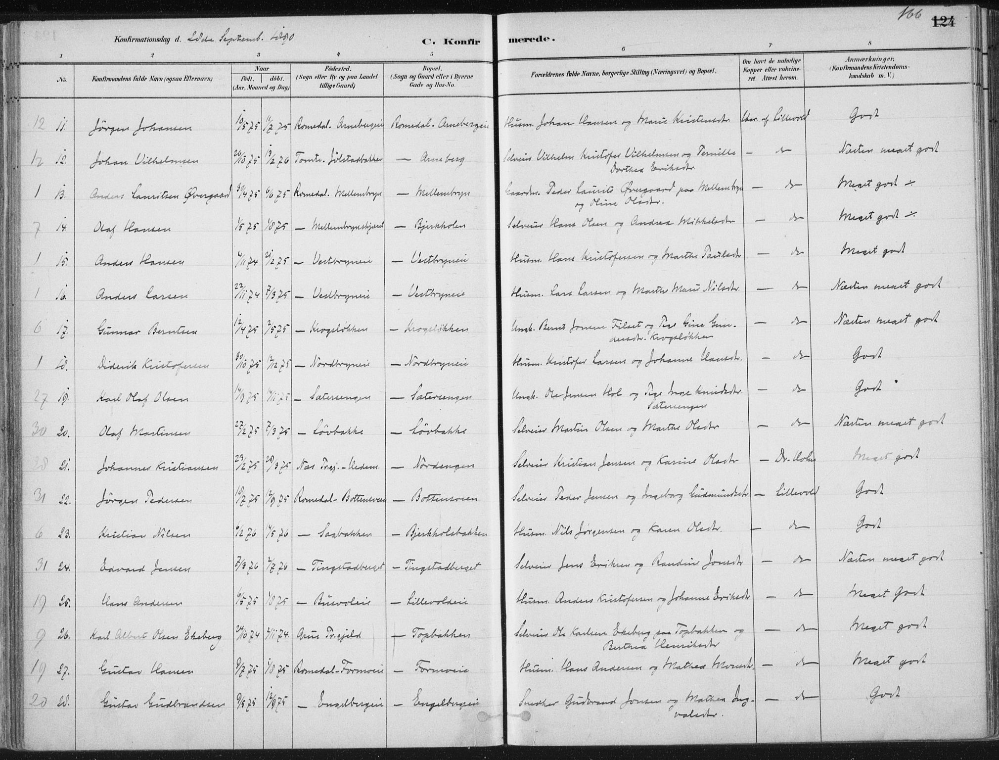 Romedal prestekontor, AV/SAH-PREST-004/K/L0010: Parish register (official) no. 10, 1880-1895, p. 166