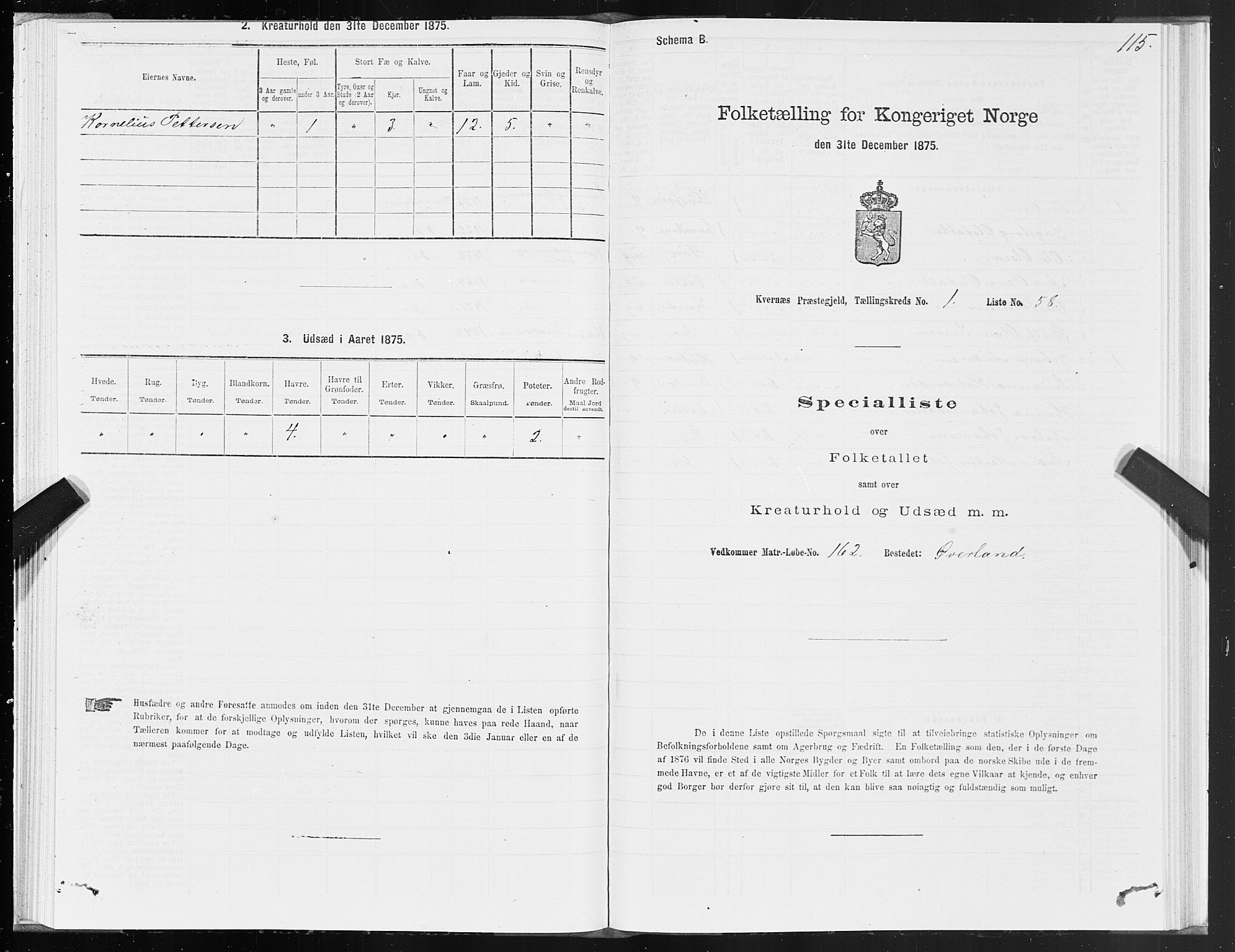 SAT, 1875 census for 1553P Kvernes, 1875, p. 1115