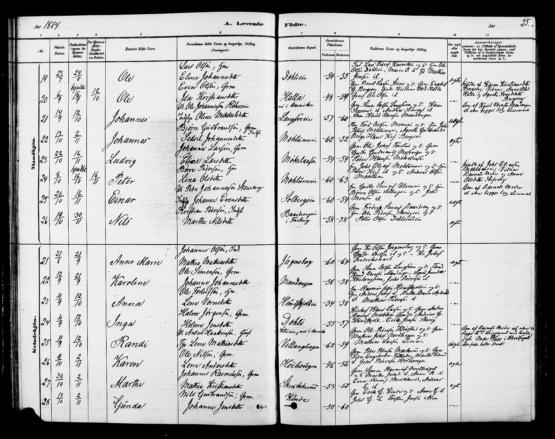 Ringsaker prestekontor, SAH/PREST-014/L/La/L0010: Parish register (copy) no. 10, 1879-1890, p. 25
