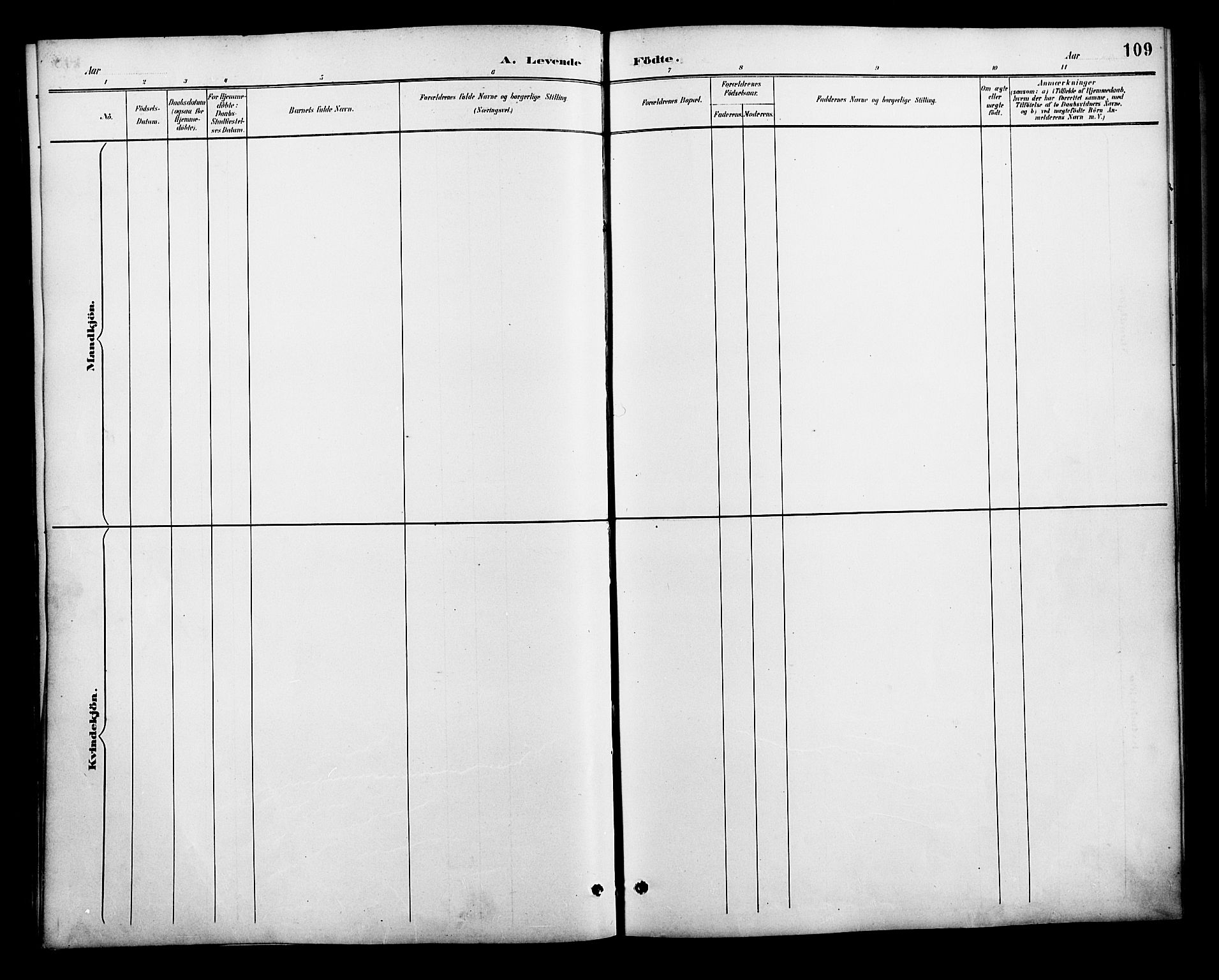 Lenvik sokneprestembete, AV/SATØ-S-1310/H/Ha/Haa/L0013kirke: Parish register (official) no. 13, 1890-1898, p. 109