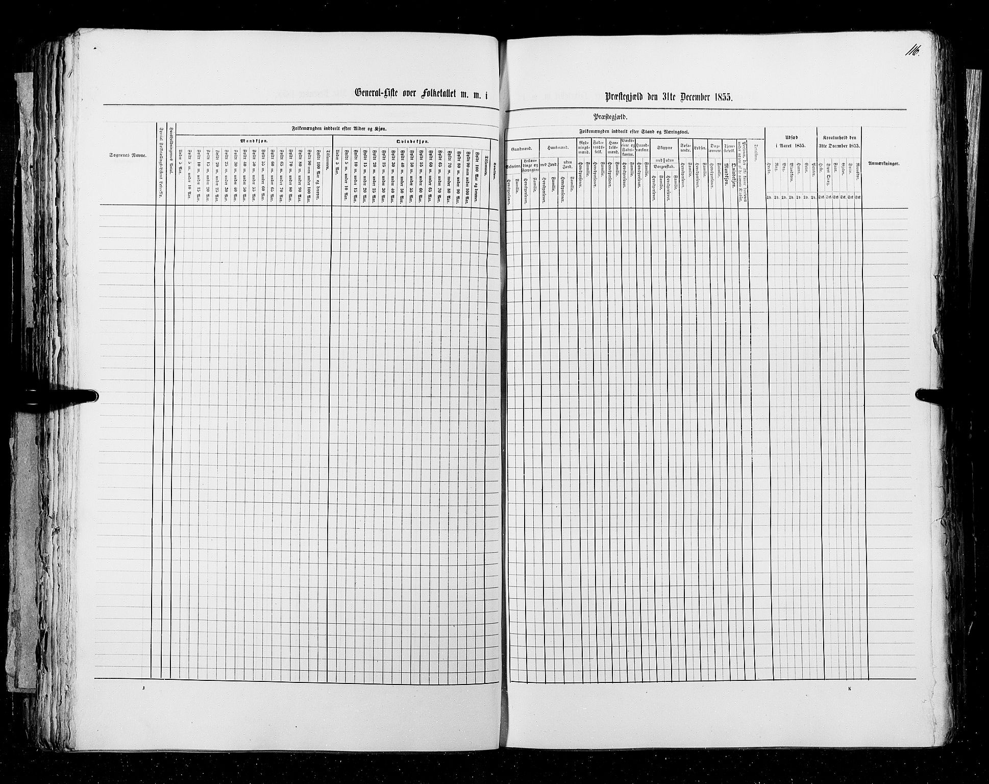 RA, Census 1855, vol. 3: Bratsberg amt, Nedenes amt og Lister og Mandal amt, 1855, p. 116