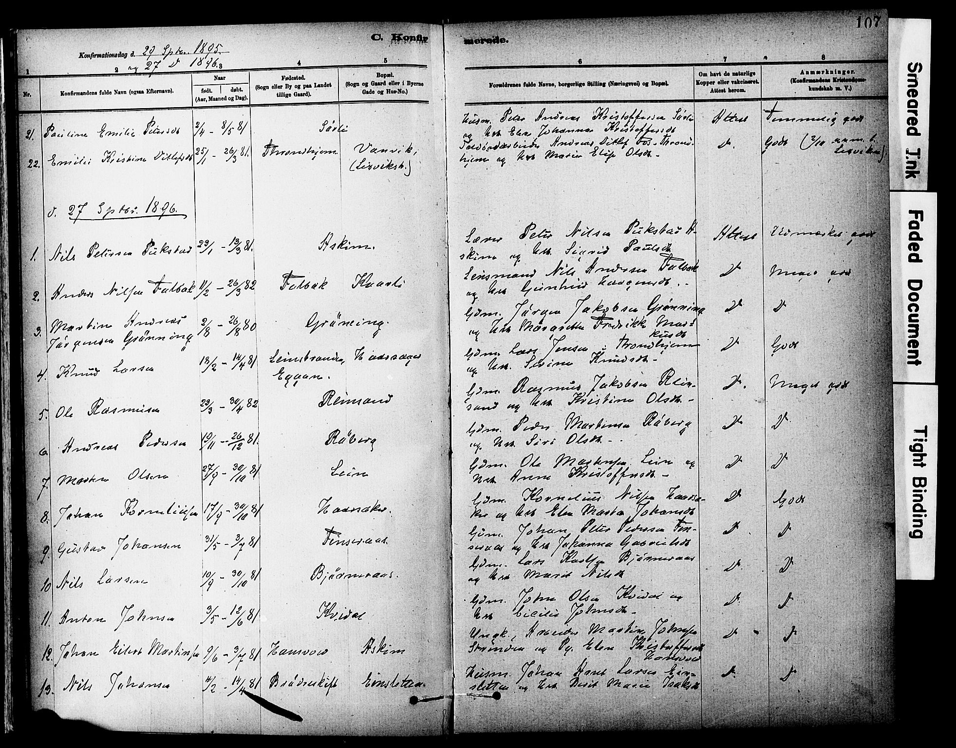 Ministerialprotokoller, klokkerbøker og fødselsregistre - Sør-Trøndelag, SAT/A-1456/646/L0615: Parish register (official) no. 646A13, 1885-1900, p. 107