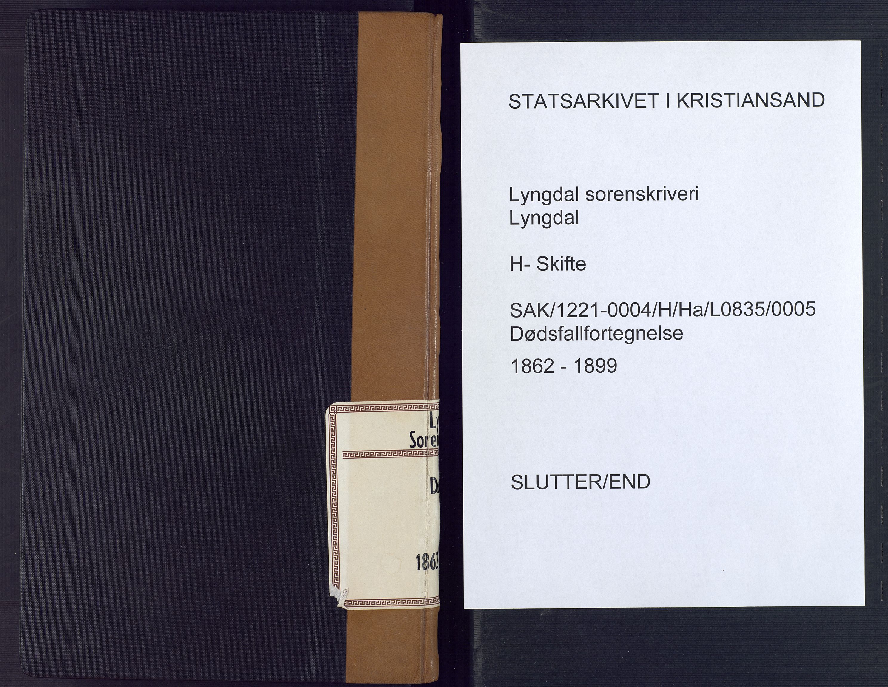 Lyngdal sorenskriveri, AV/SAK-1221-0004/H/Ha/L0835/0005: Dødsfallsprotokoller / Dødsfallsprotokoll, 1862-1899