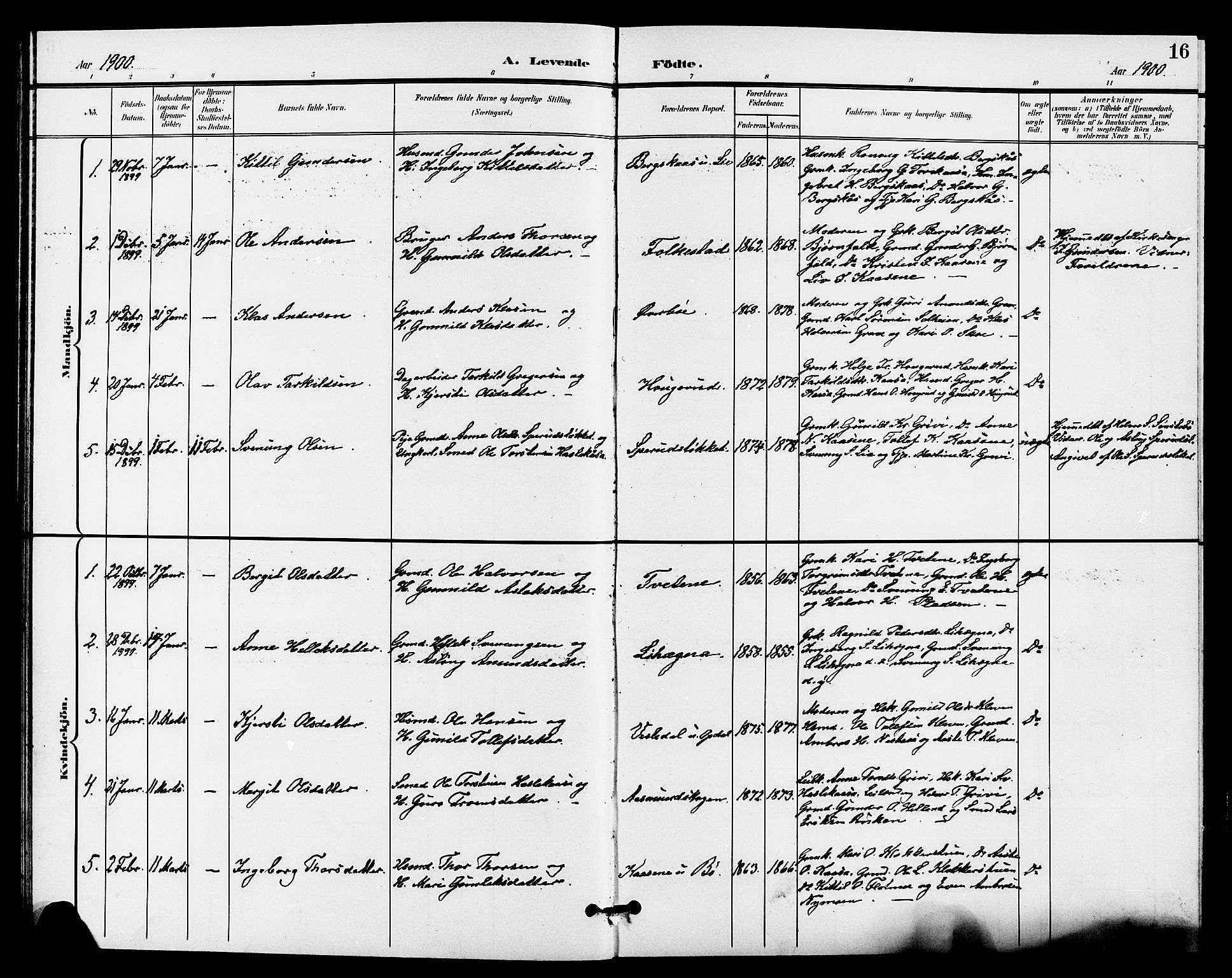Bø kirkebøker, AV/SAKO-A-257/G/Ga/L0006: Parish register (copy) no. 6, 1898-1909, p. 16