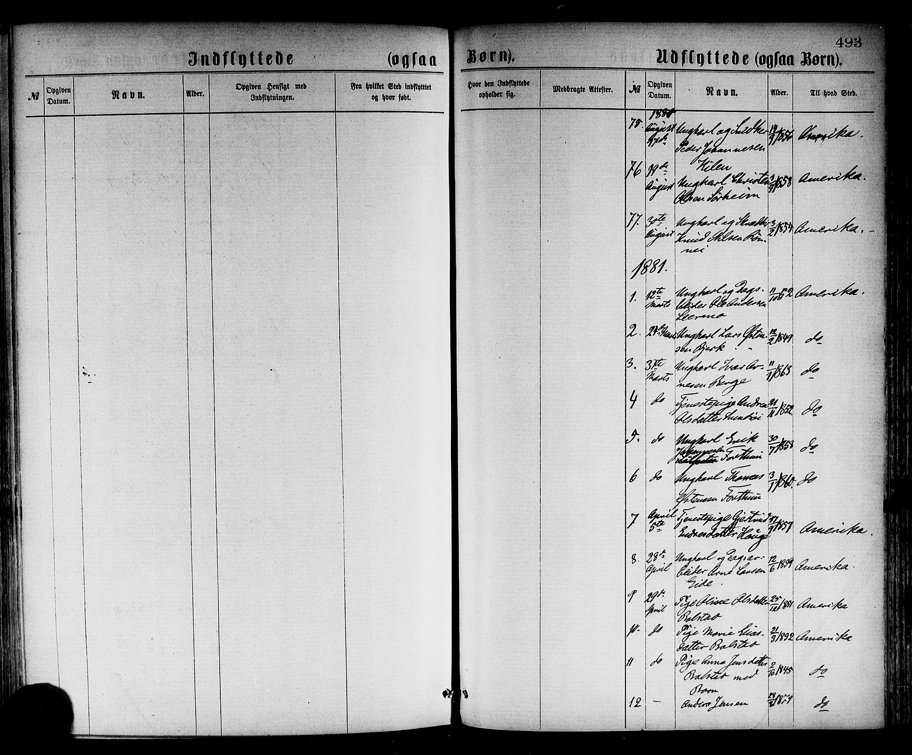 Luster sokneprestembete, SAB/A-81101/H/Haa/Haaa/L0010: Parish register (official) no. A 10, 1871-1886, p. 493
