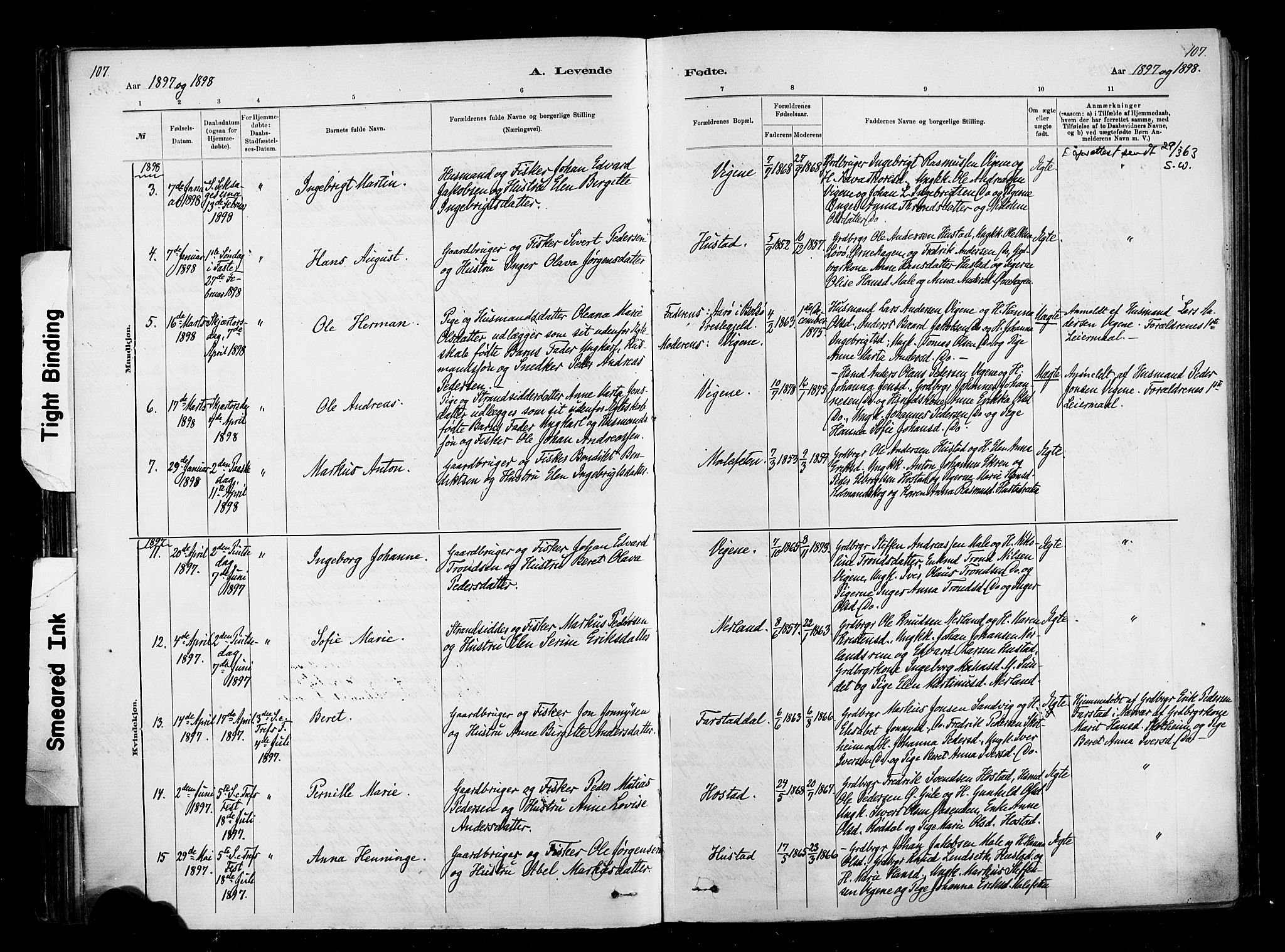 Ministerialprotokoller, klokkerbøker og fødselsregistre - Møre og Romsdal, AV/SAT-A-1454/567/L0778: Parish register (official) no. 567A01, 1881-1903, p. 107