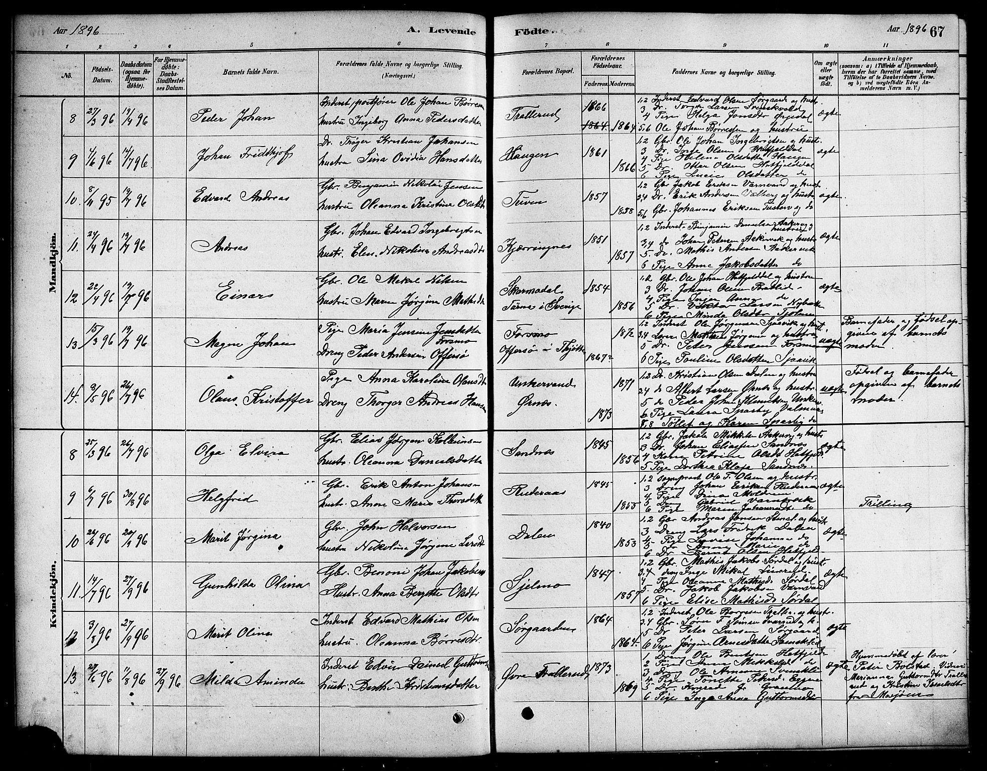 Ministerialprotokoller, klokkerbøker og fødselsregistre - Nordland, SAT/A-1459/823/L0330: Parish register (copy) no. 823C02, 1879-1916, p. 67