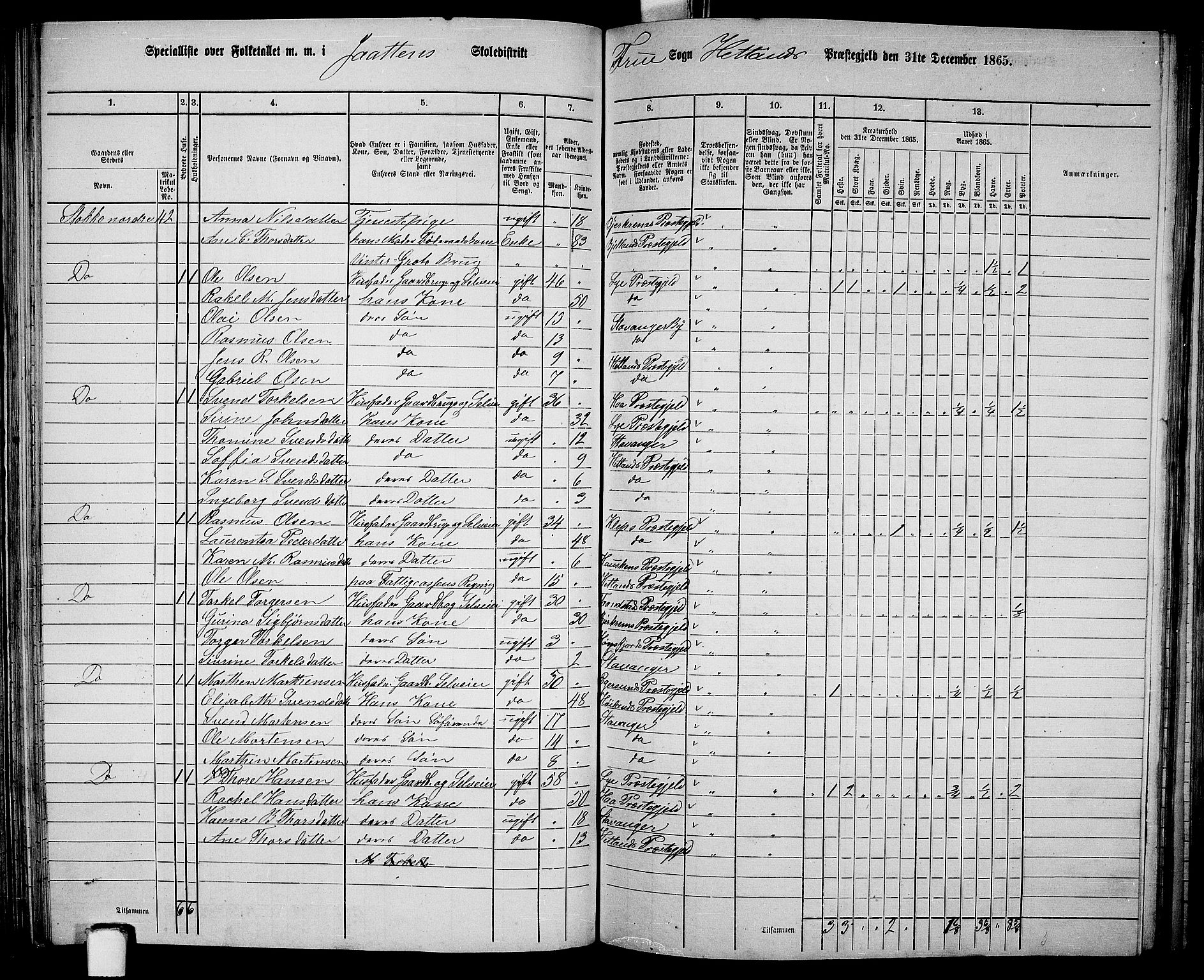 RA, 1865 census for Hetland, 1865, p. 111