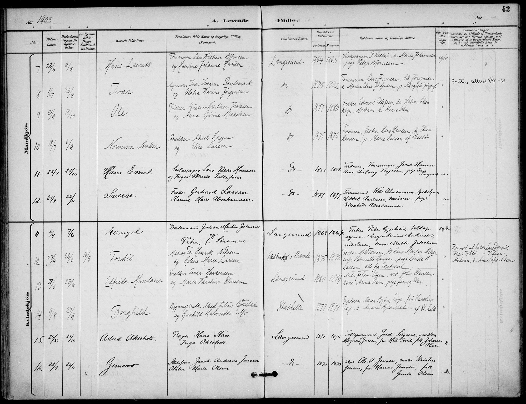 Langesund kirkebøker, AV/SAKO-A-280/F/Fa/L0003: Parish register (official) no. 3, 1893-1907, p. 42