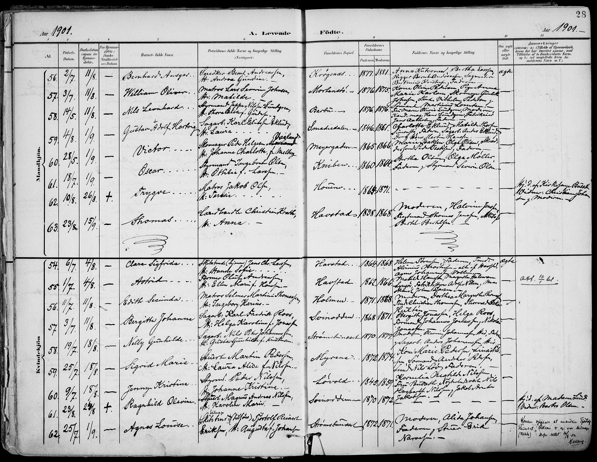 Barbu sokneprestkontor, AV/SAK-1111-0003/F/Fa/L0005: Parish register (official) no. A 5, 1899-1909, p. 28