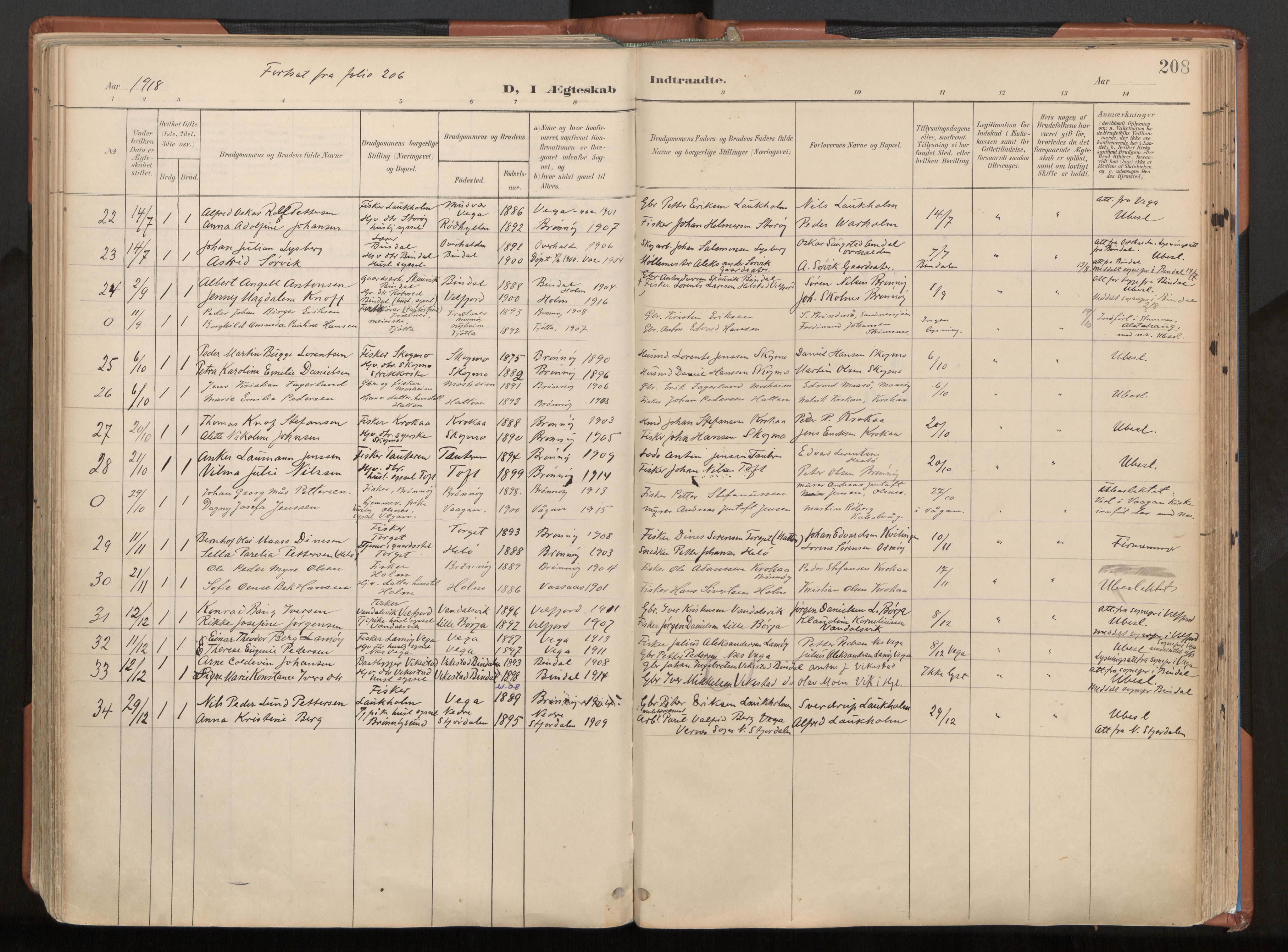 Ministerialprotokoller, klokkerbøker og fødselsregistre - Nordland, SAT/A-1459/813/L0201: Parish register (official) no. 813A11, 1901-1918, p. 208