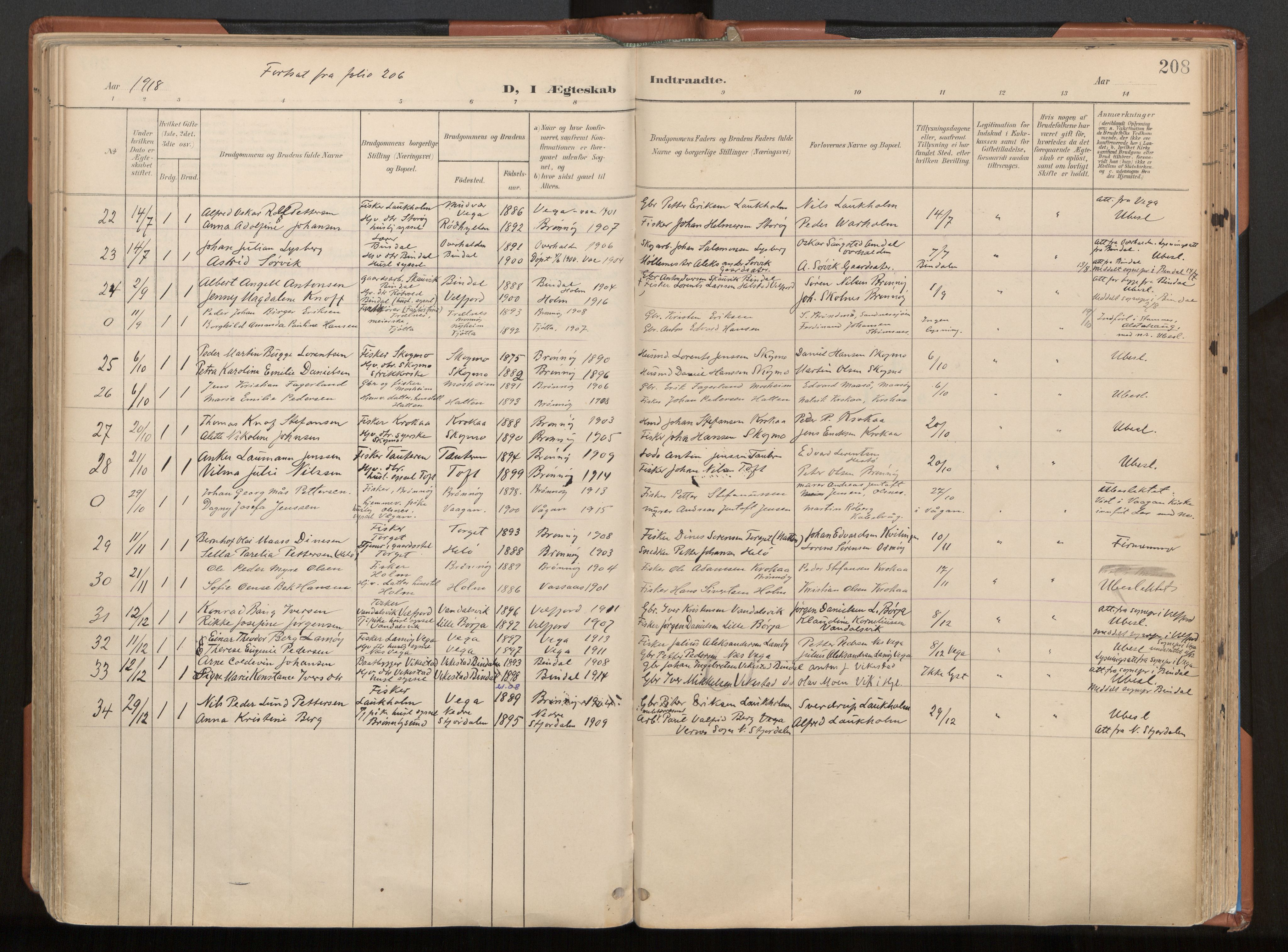 Ministerialprotokoller, klokkerbøker og fødselsregistre - Nordland, AV/SAT-A-1459/813/L0201: Parish register (official) no. 813A11, 1901-1918, p. 208