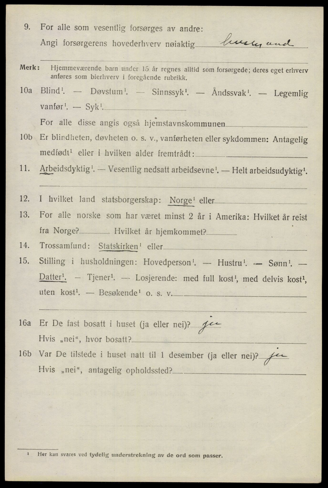 SAO, 1920 census for Nes, 1920, p. 16151